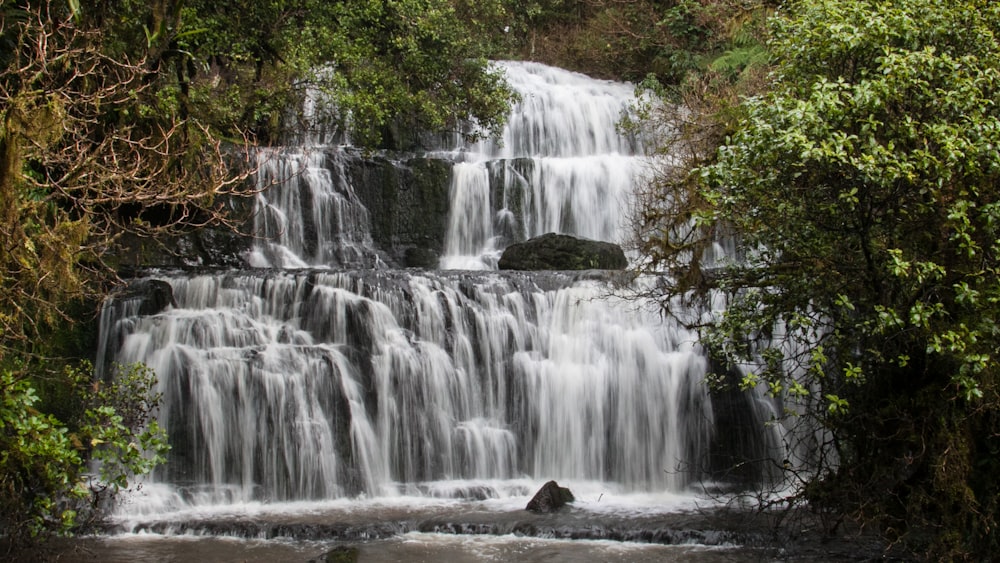 waterfalls in forest during daytime