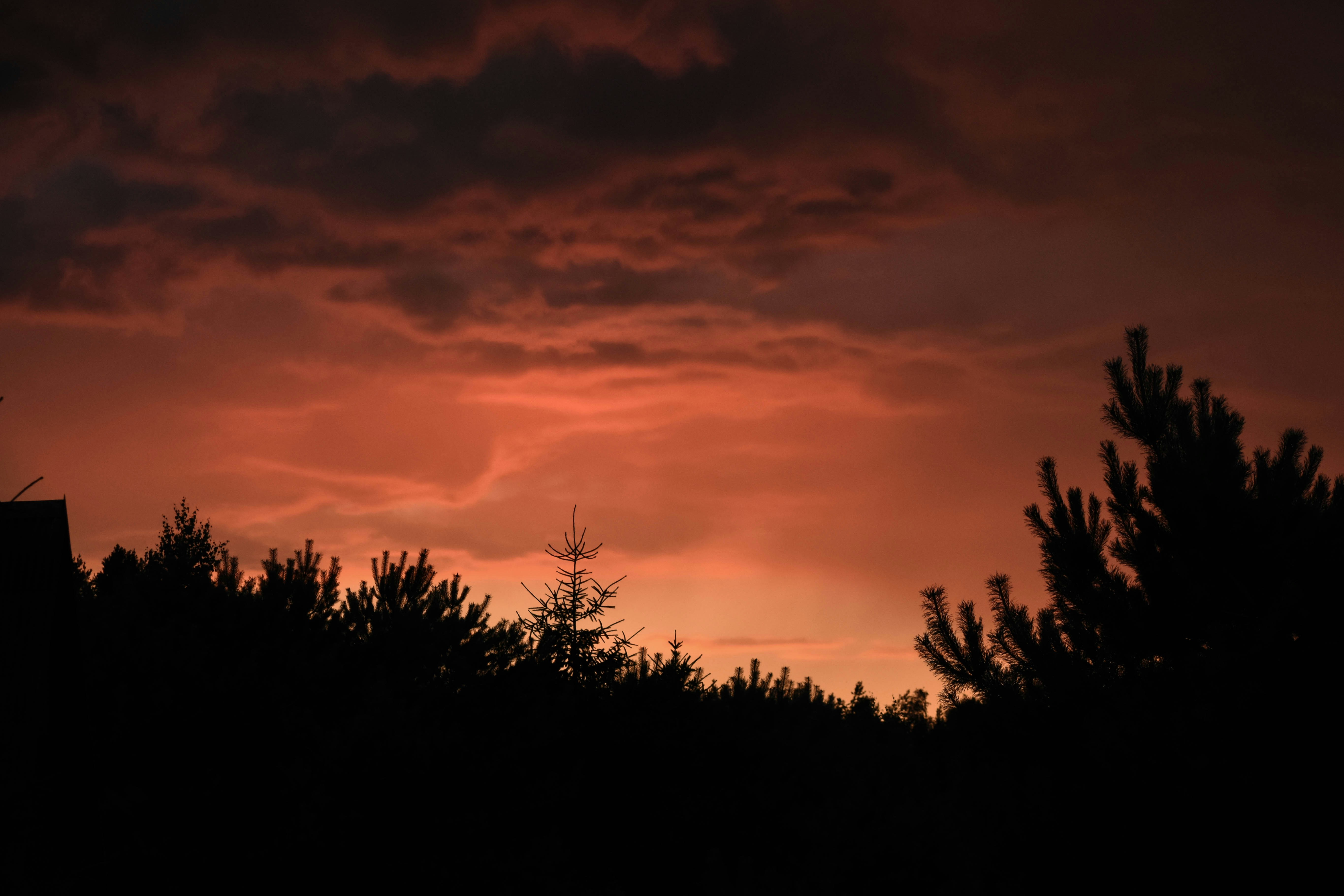 Photo by moonymood