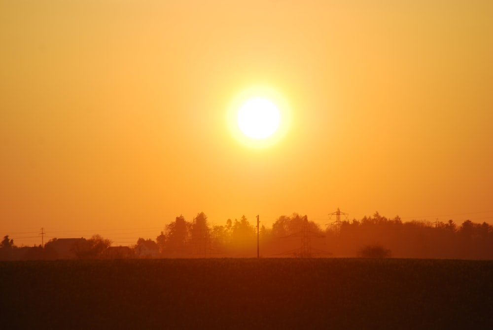 Silueta de árboles durante la puesta del sol