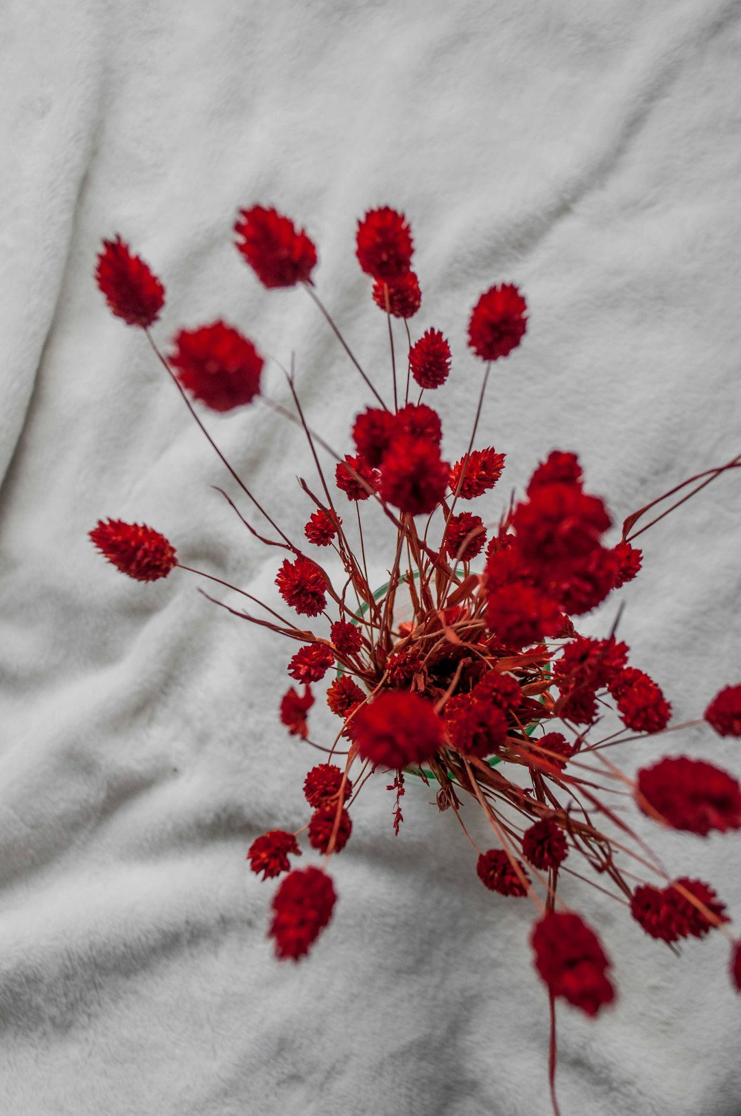 red flowers on white textile