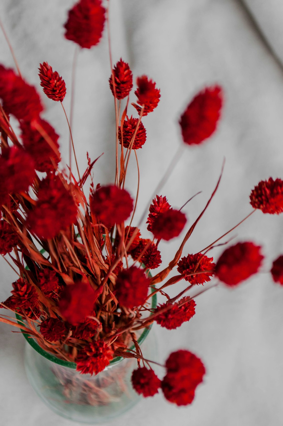 red flowers on white textile