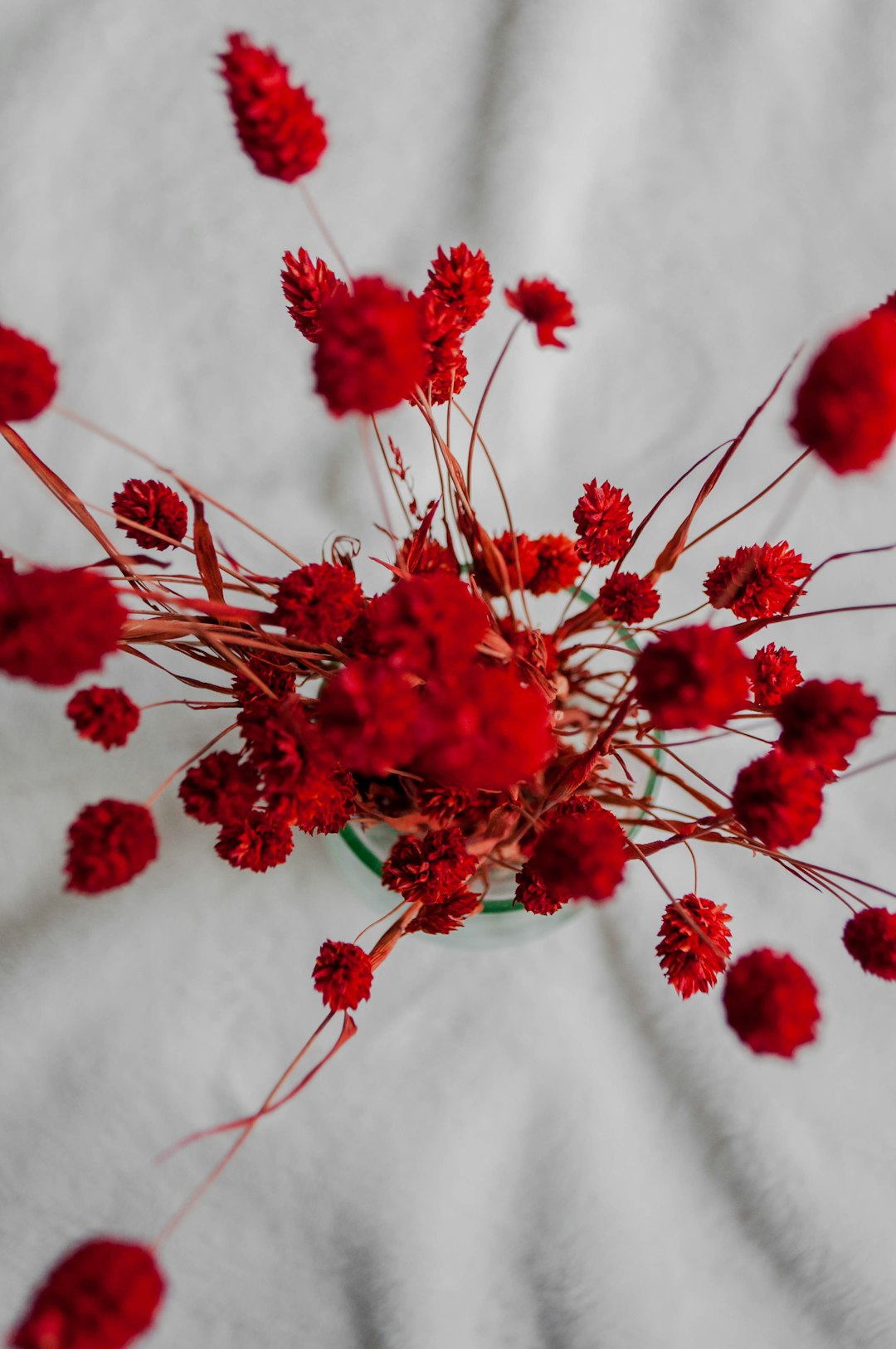 red flowers on white textile