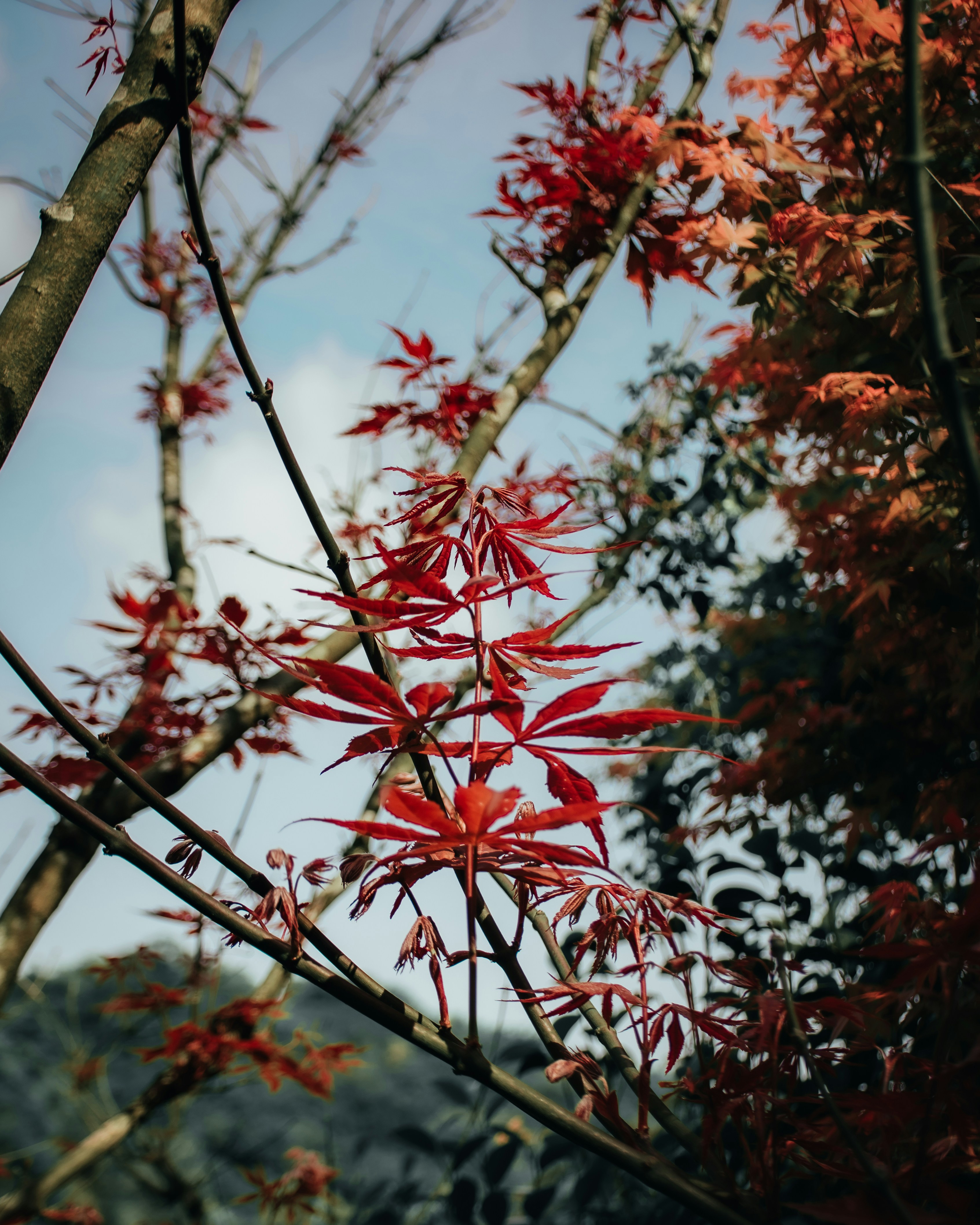 Photo by junhochak