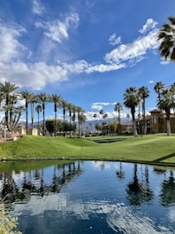 green grass field near body of water during daytime