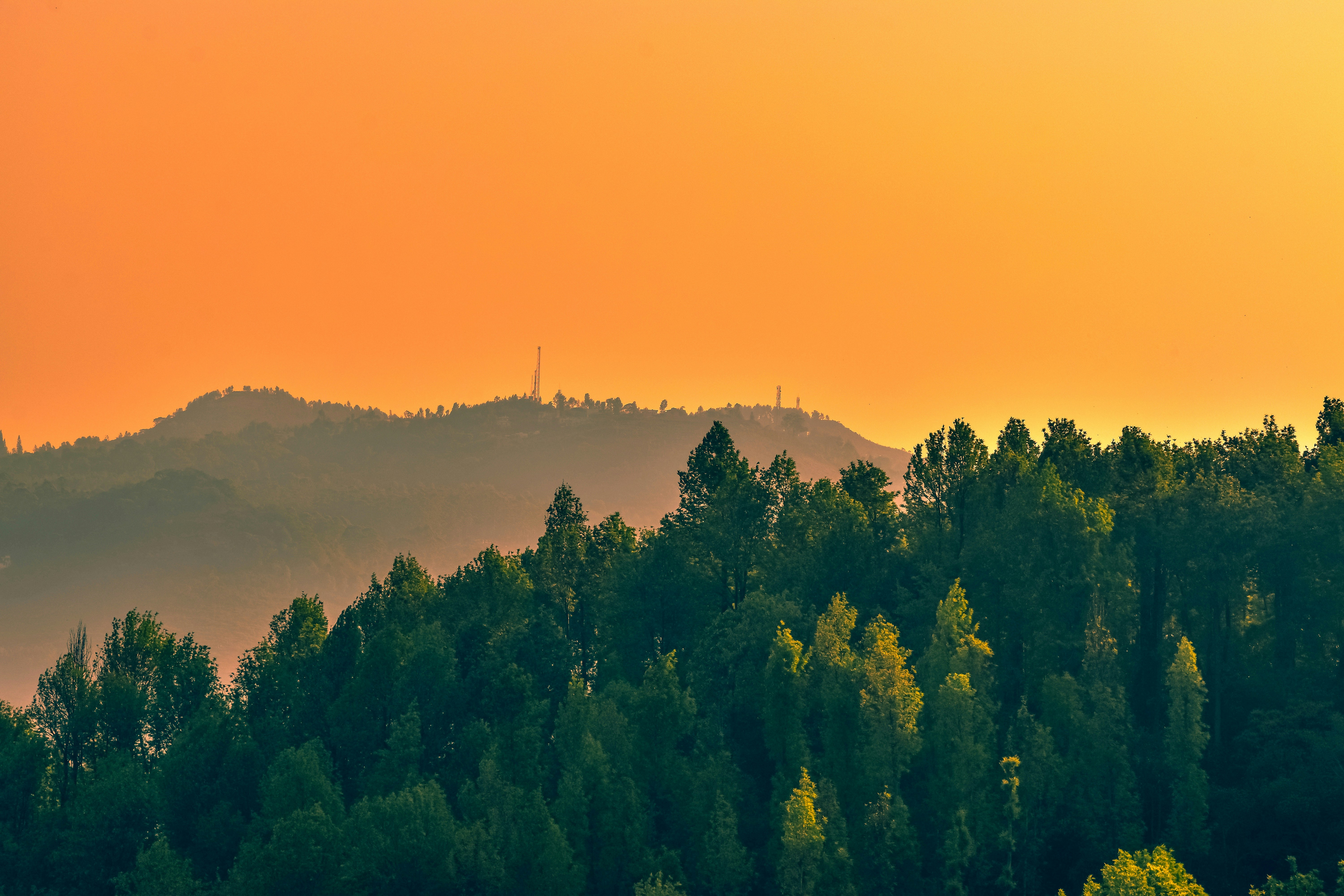 árvores verdes na montanha durante o dia