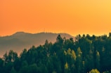A serene landscape representing growth and technological advancement.