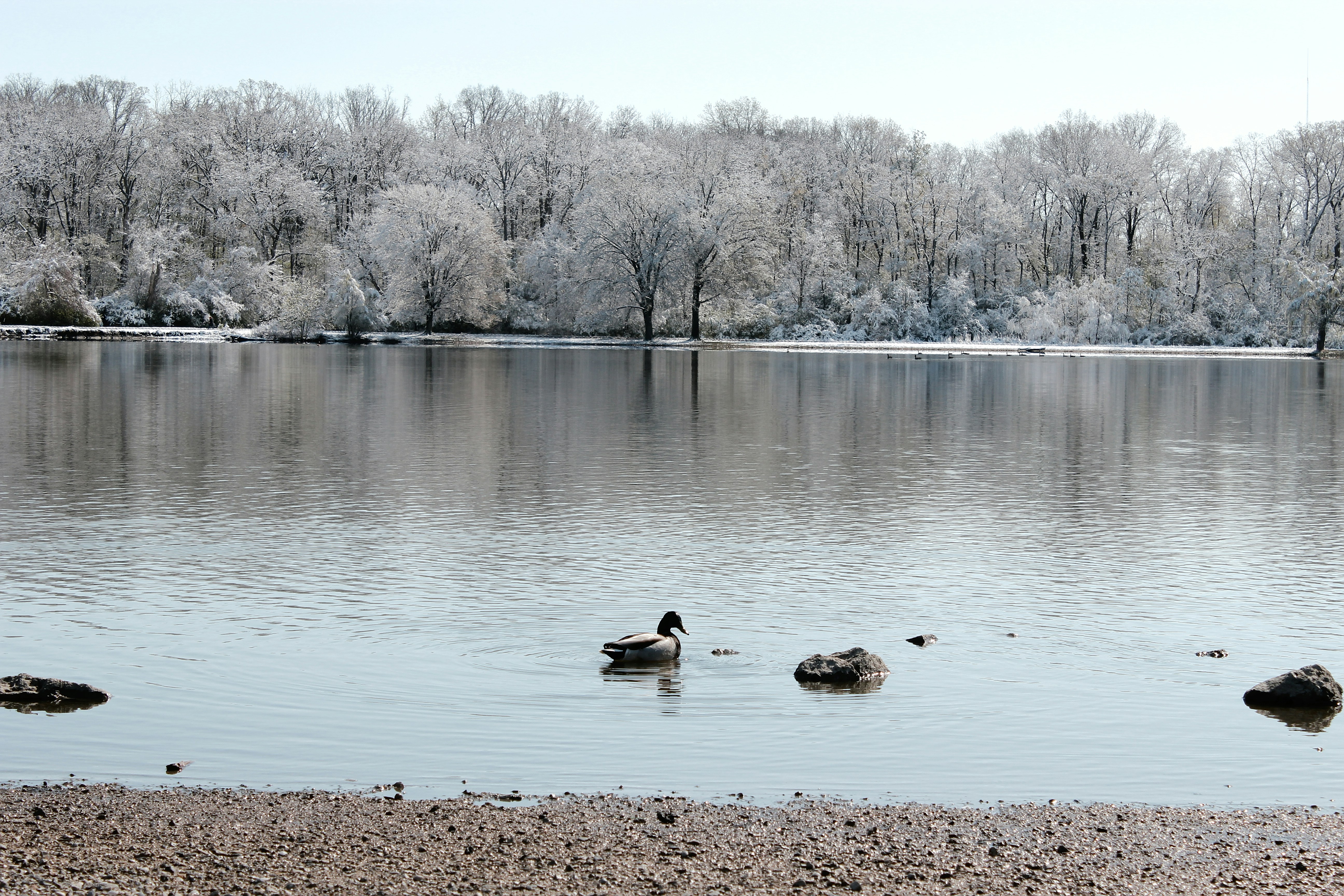 Photo by mrgreatheart