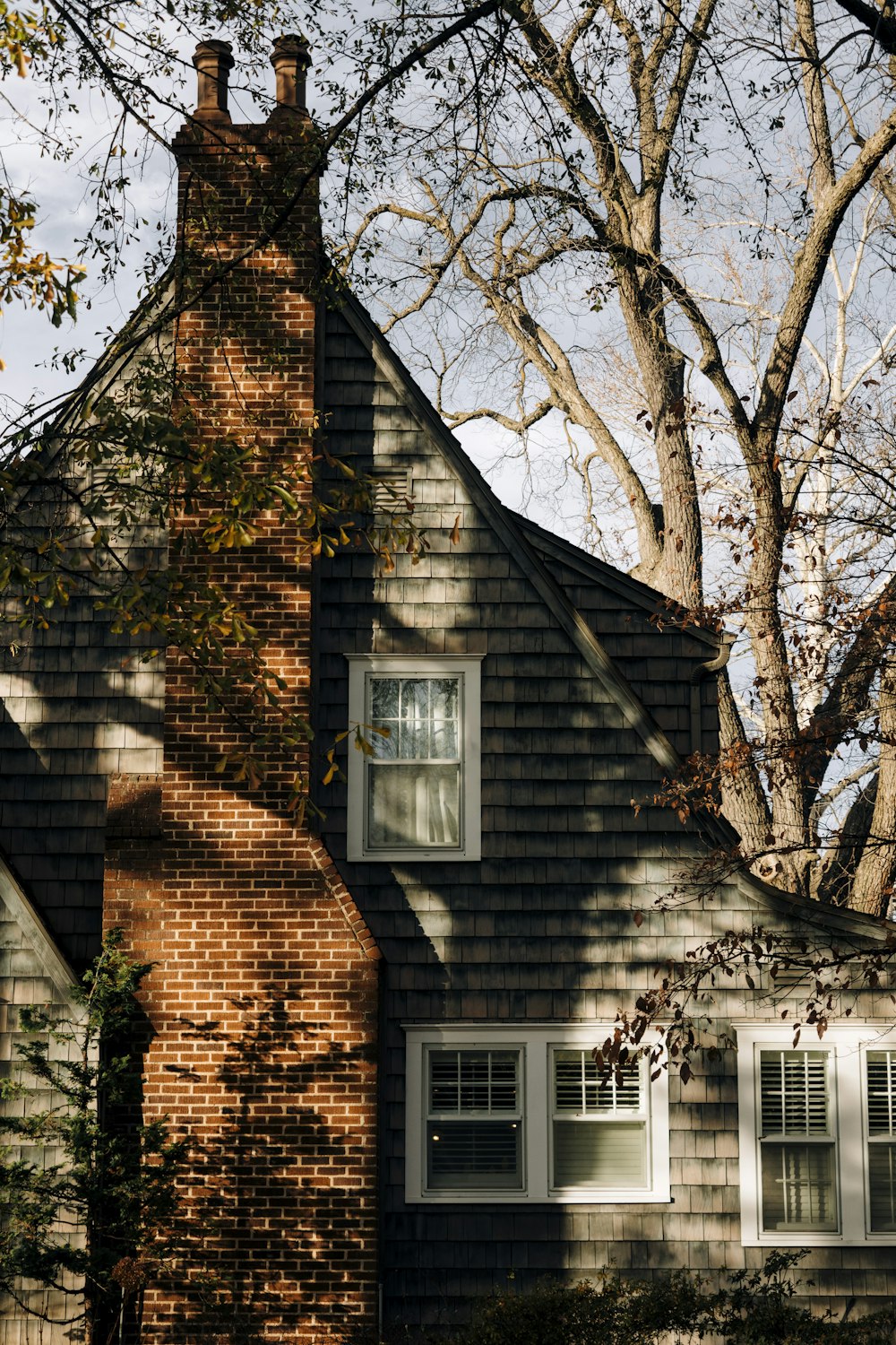 brown brick house with brown leafless tree