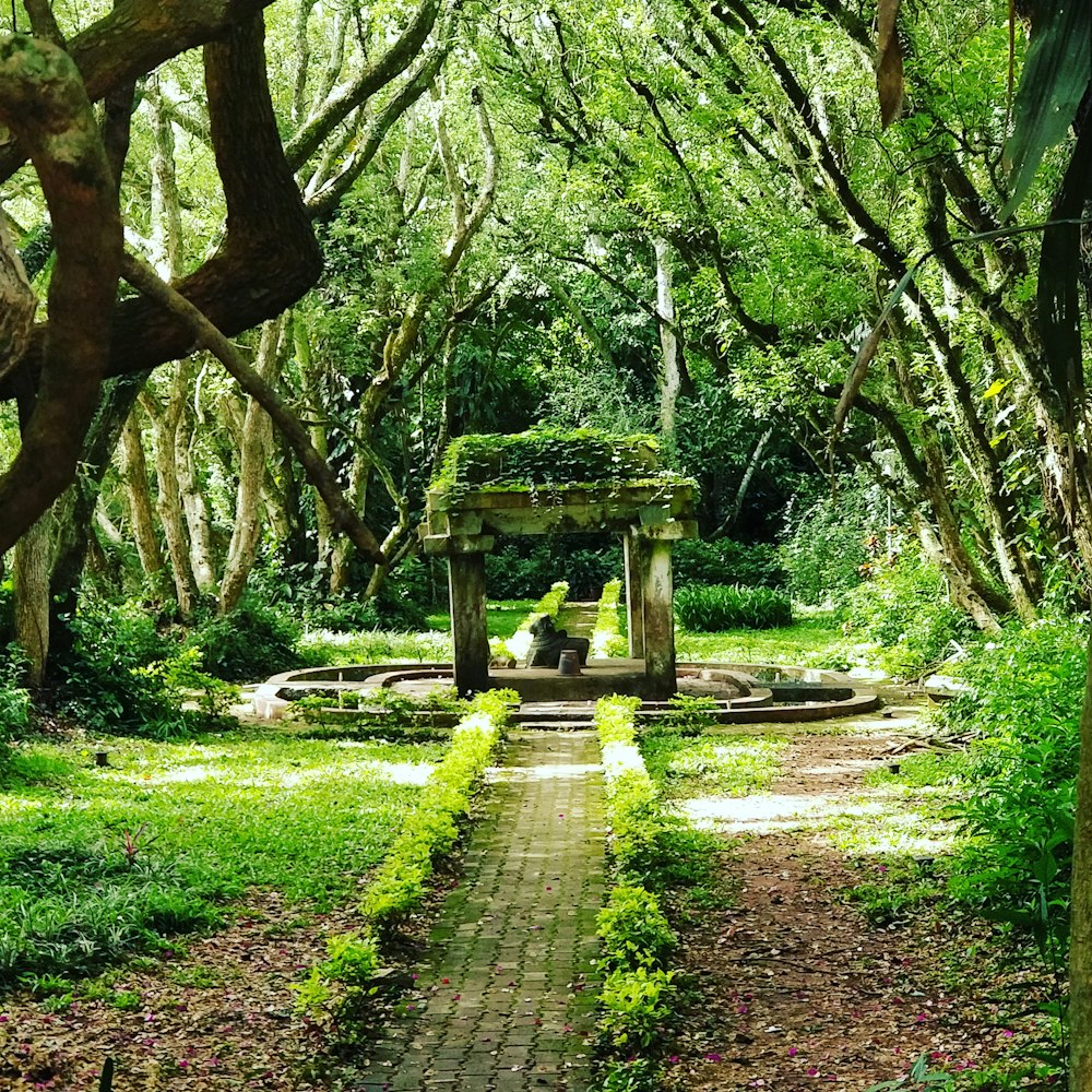 brown wooden bench under green trees during daytime