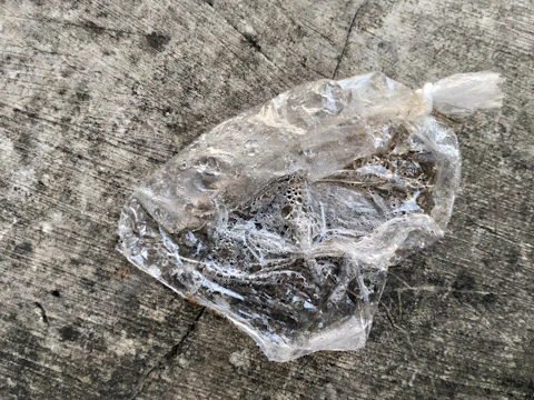 Plastic sheeting used as a moisture barrier on a freshly poured concrete slab.