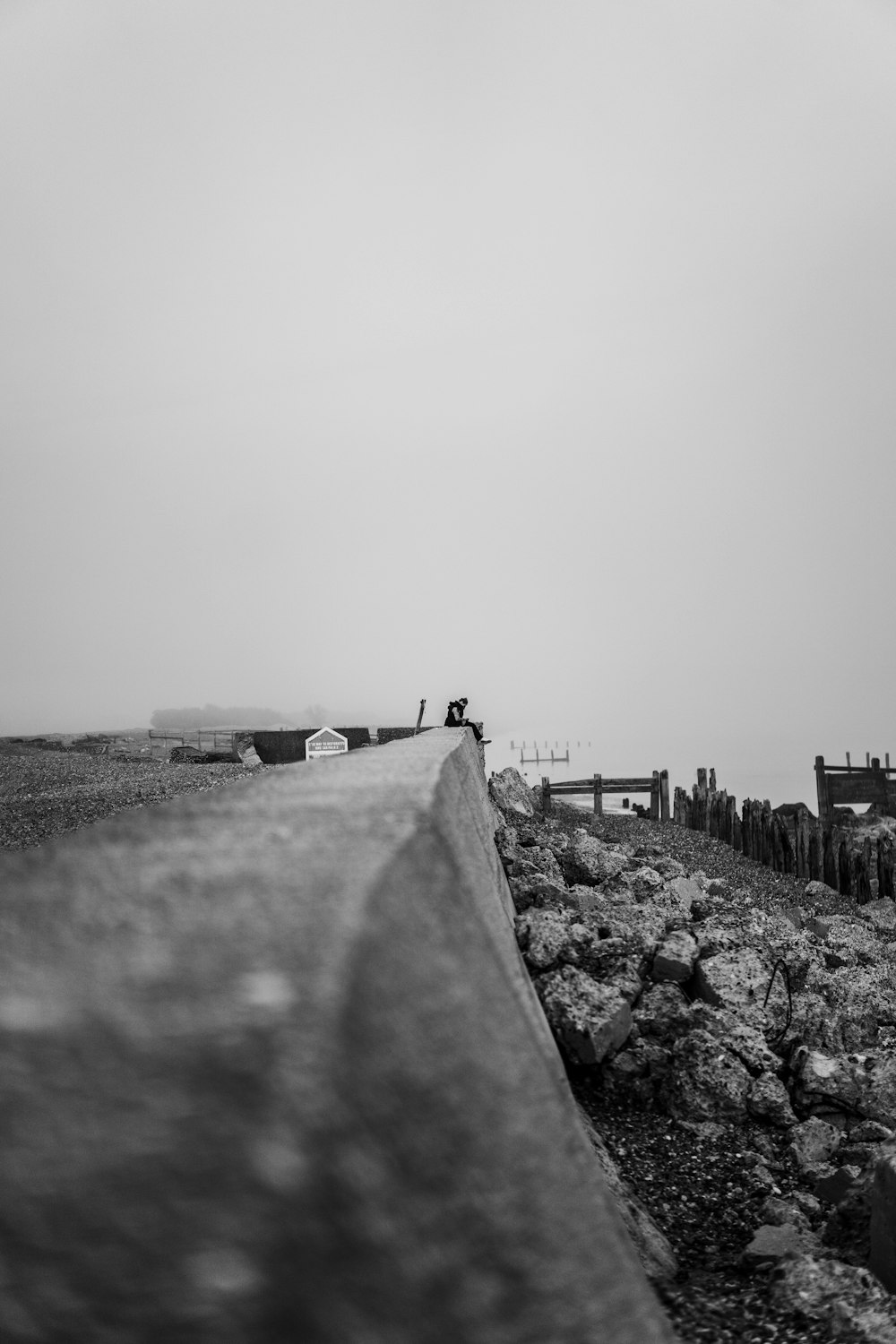 grayscale photo of people walking on the beach