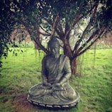A stone statue of Buddha is seated in a meditative posture under a large, leafy tree in a grassy area. The serene setting evokes tranquility and spiritual calmness.