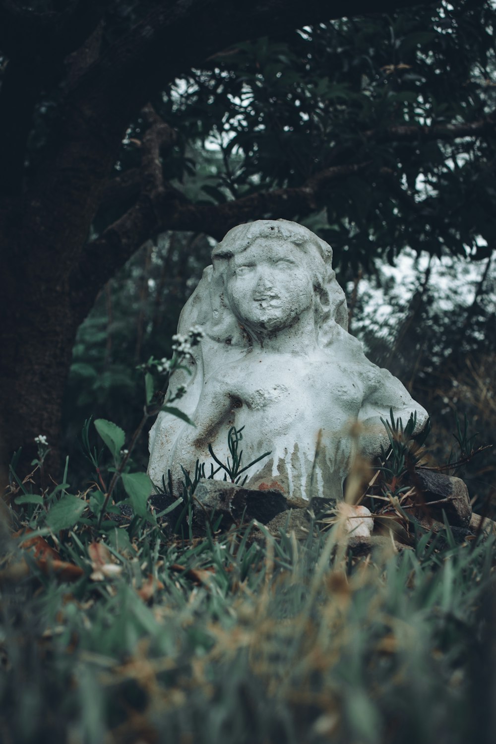 Statue de lion blanc sur l’herbe verte pendant la journée