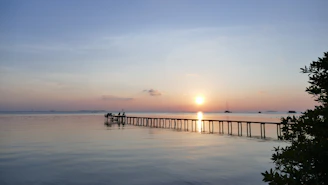 silhouette of people on dock during sunset