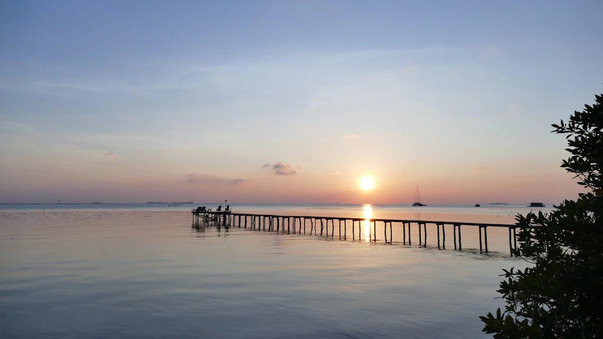 Menjangan Besar Shark Nursery & Ujung Gelam Sunset Trail