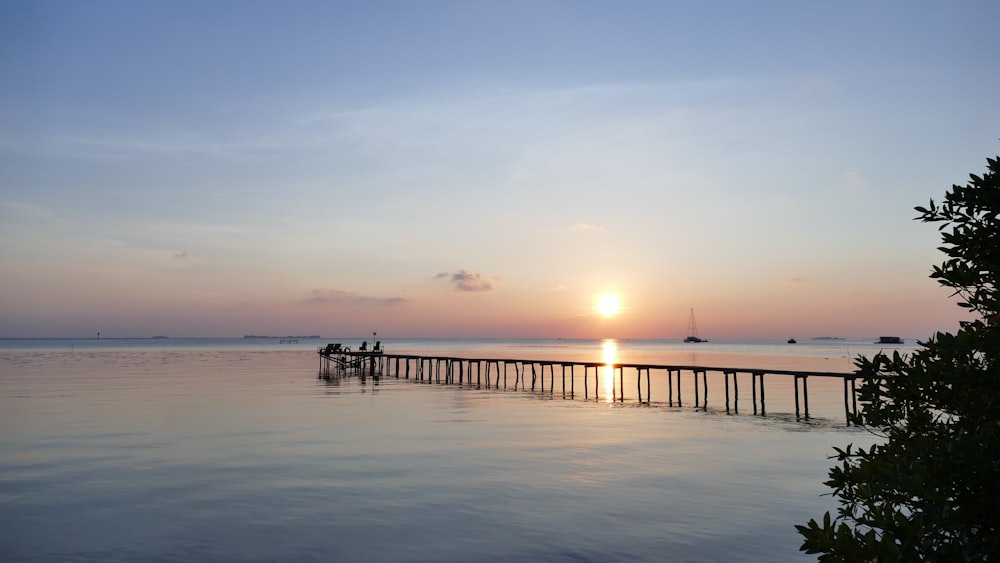 silhouette of people on dock during sunset