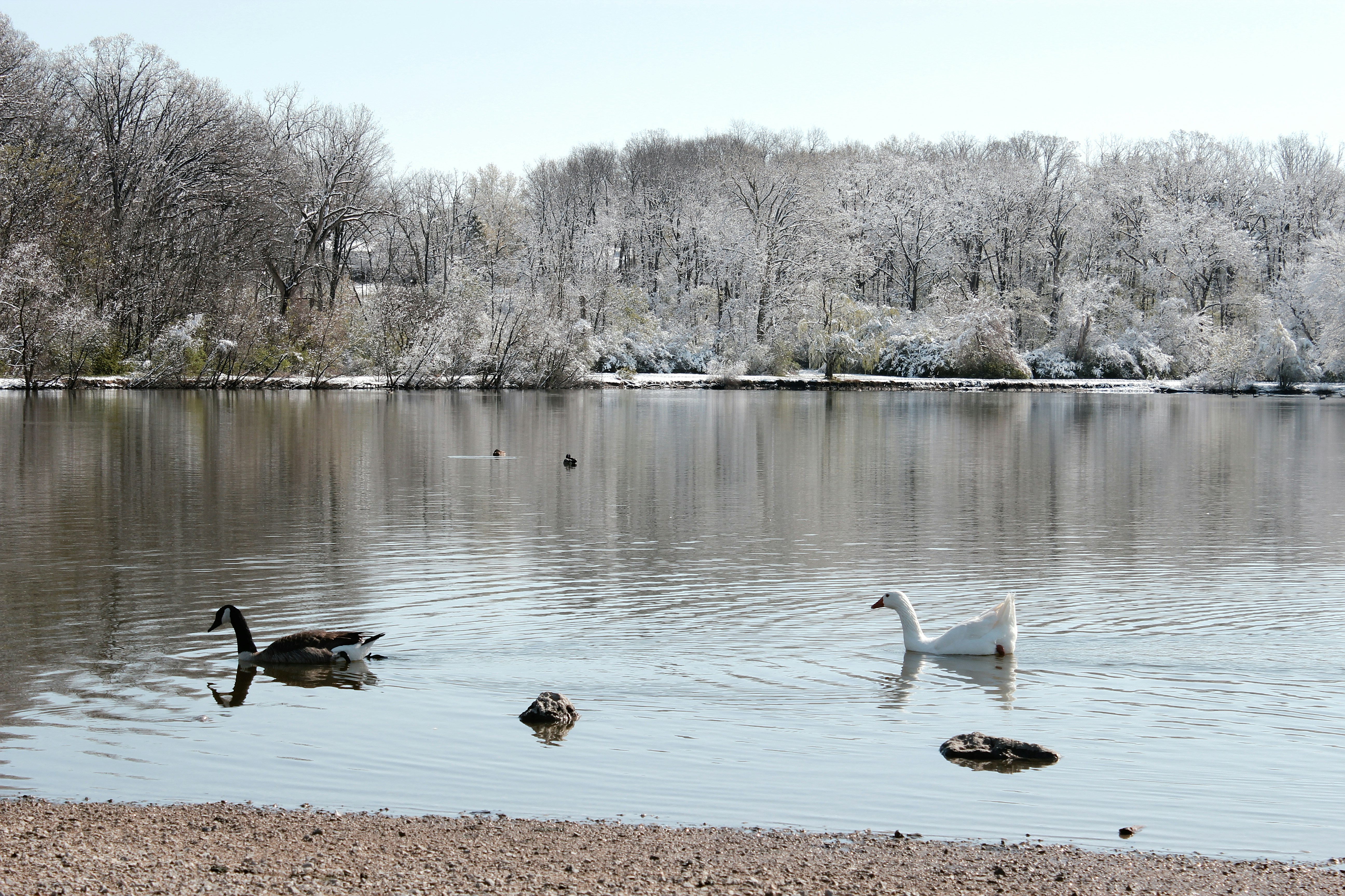 Photo by mrgreatheart