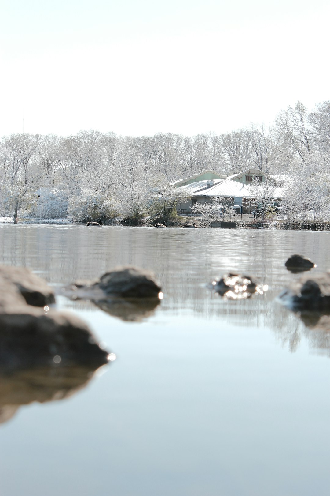 rocks on river during daytime