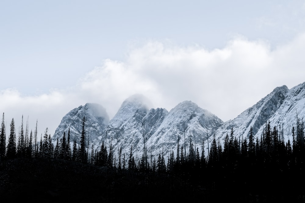 montanha coberta de neve durante o dia