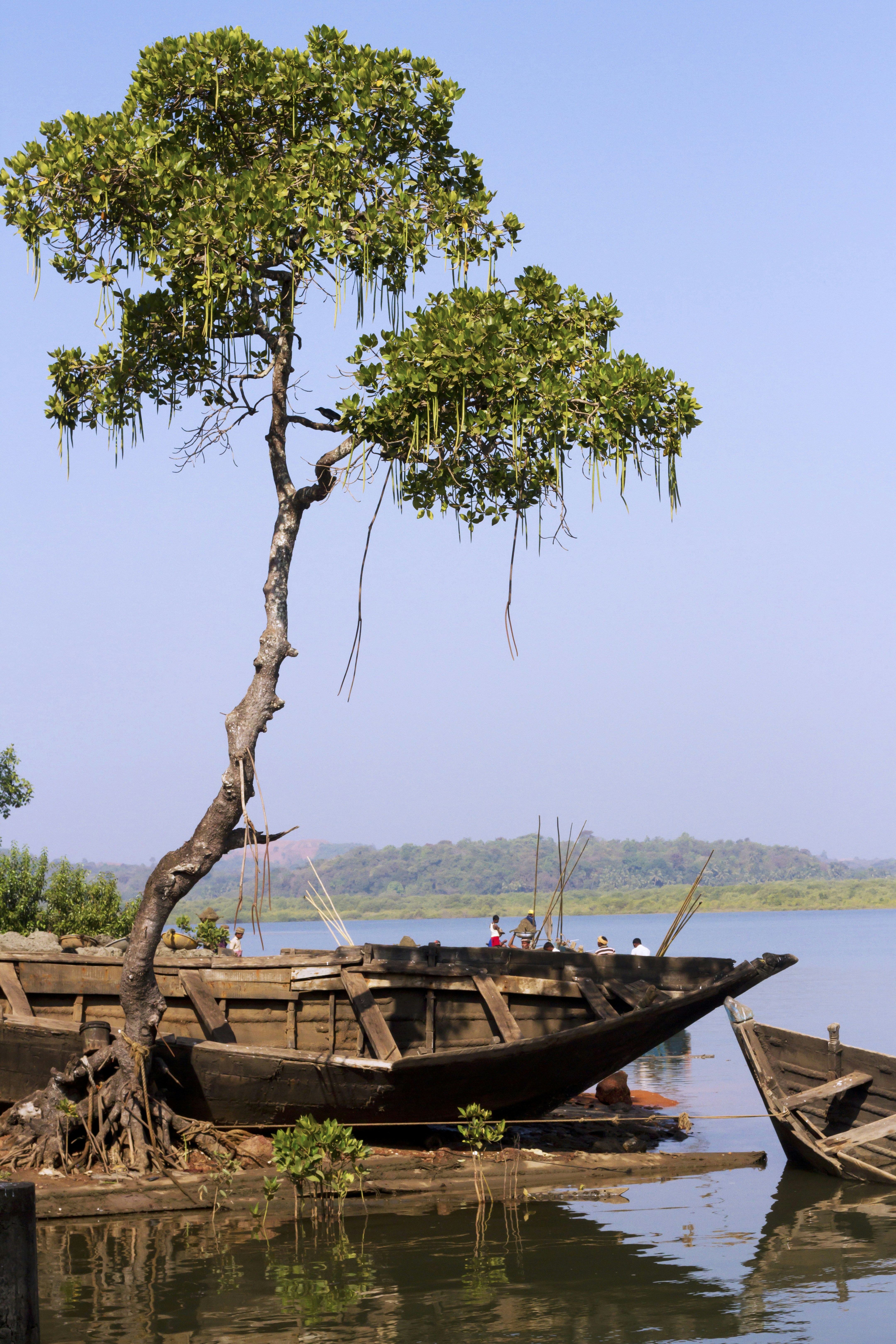 Photo by manish_tulaskar