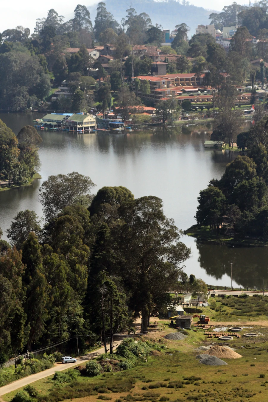 Green trees near the lake in Kodaikanal