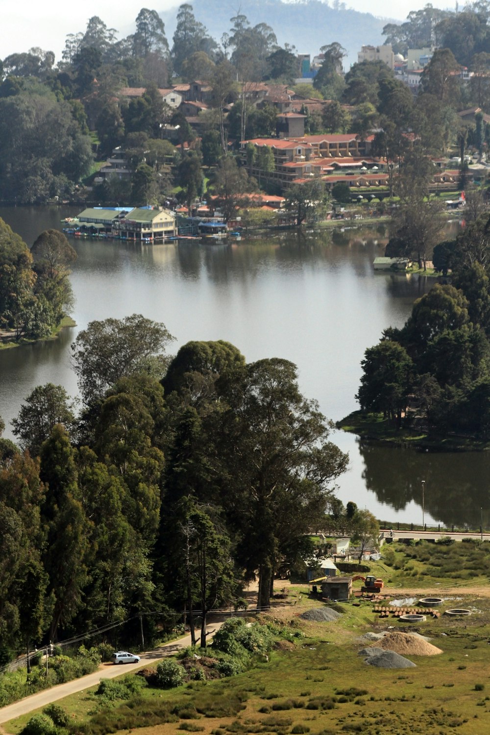 green trees near body of water during daytime