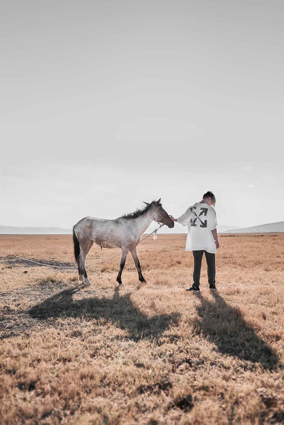 woman in white long sleeve shirt and brown pants standing beside white horse during daytime