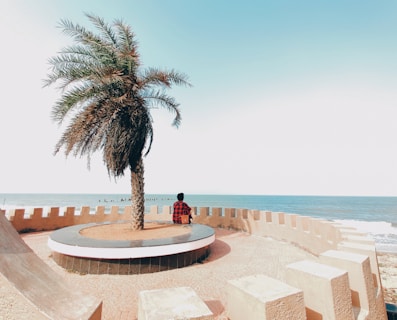 palm tree near body of water during daytime