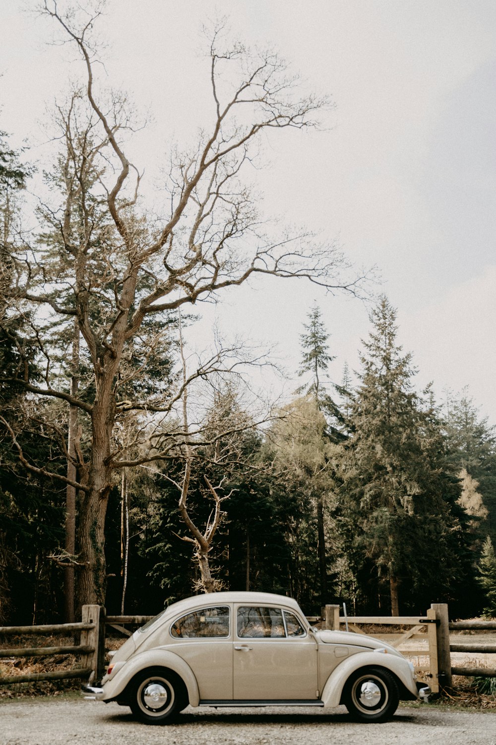 white car parked near trees during daytime