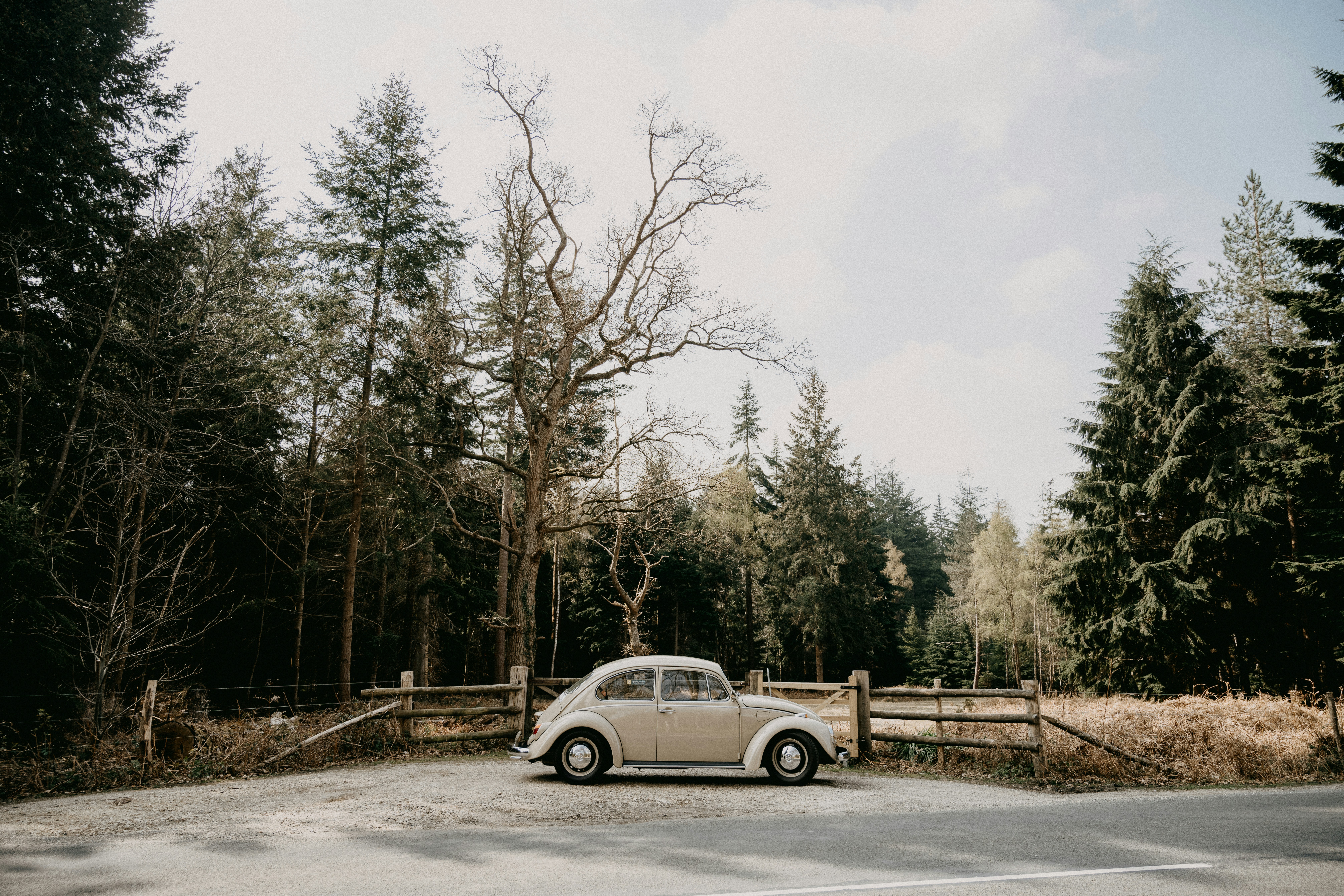 Photo by anniespratt