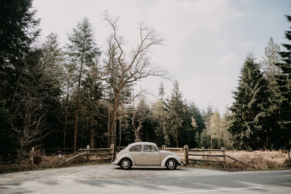 white sedan on road surrounded by trees