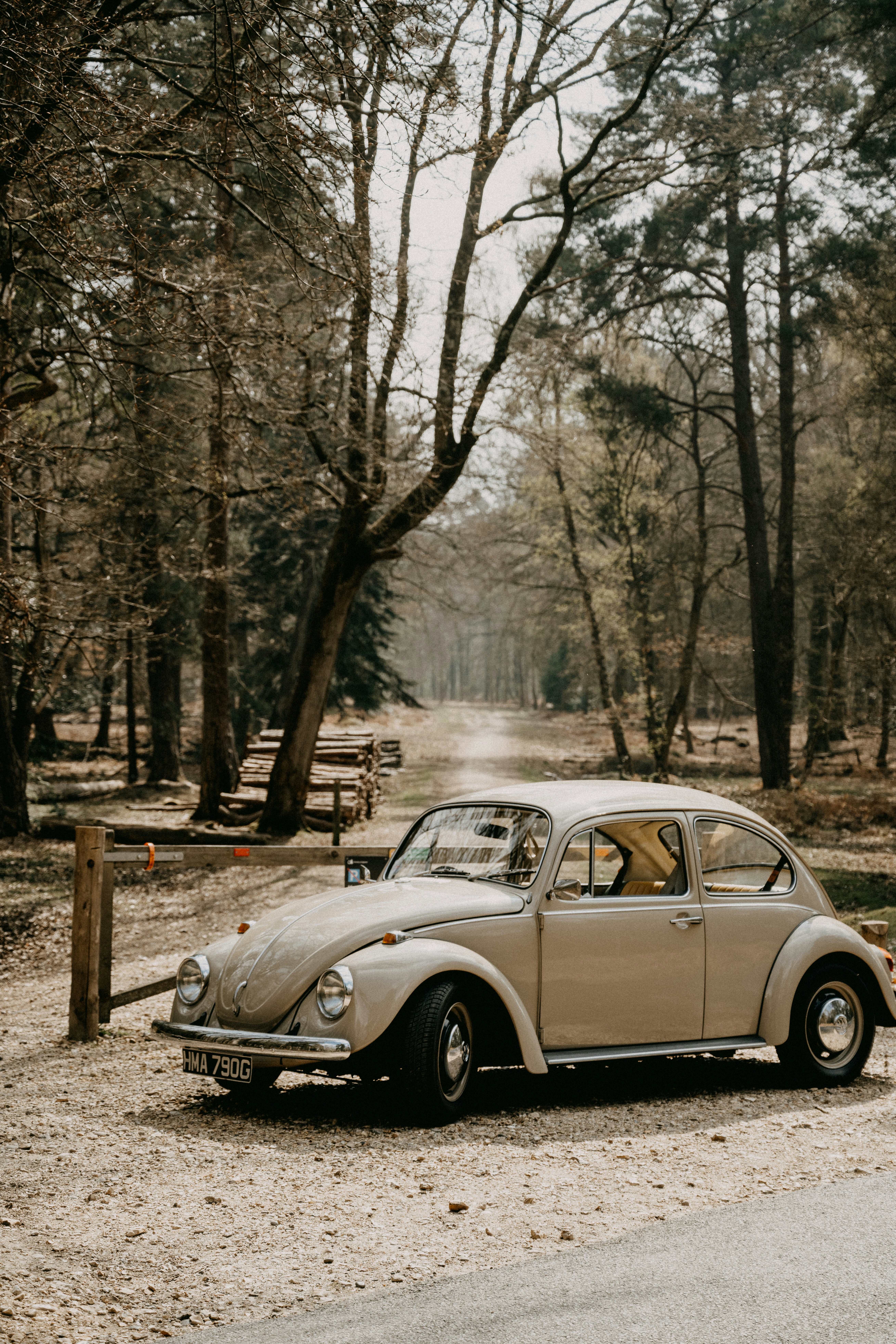 Photo by anniespratt