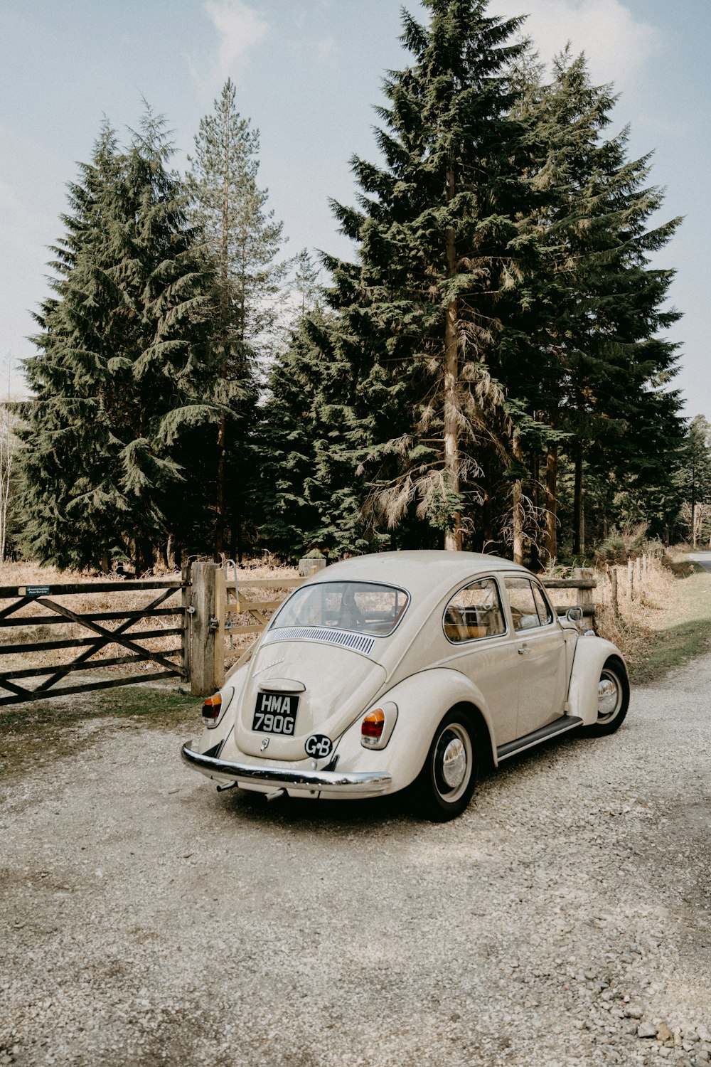 white volkswagen beetle parked on gray dirt road near green trees during daytime