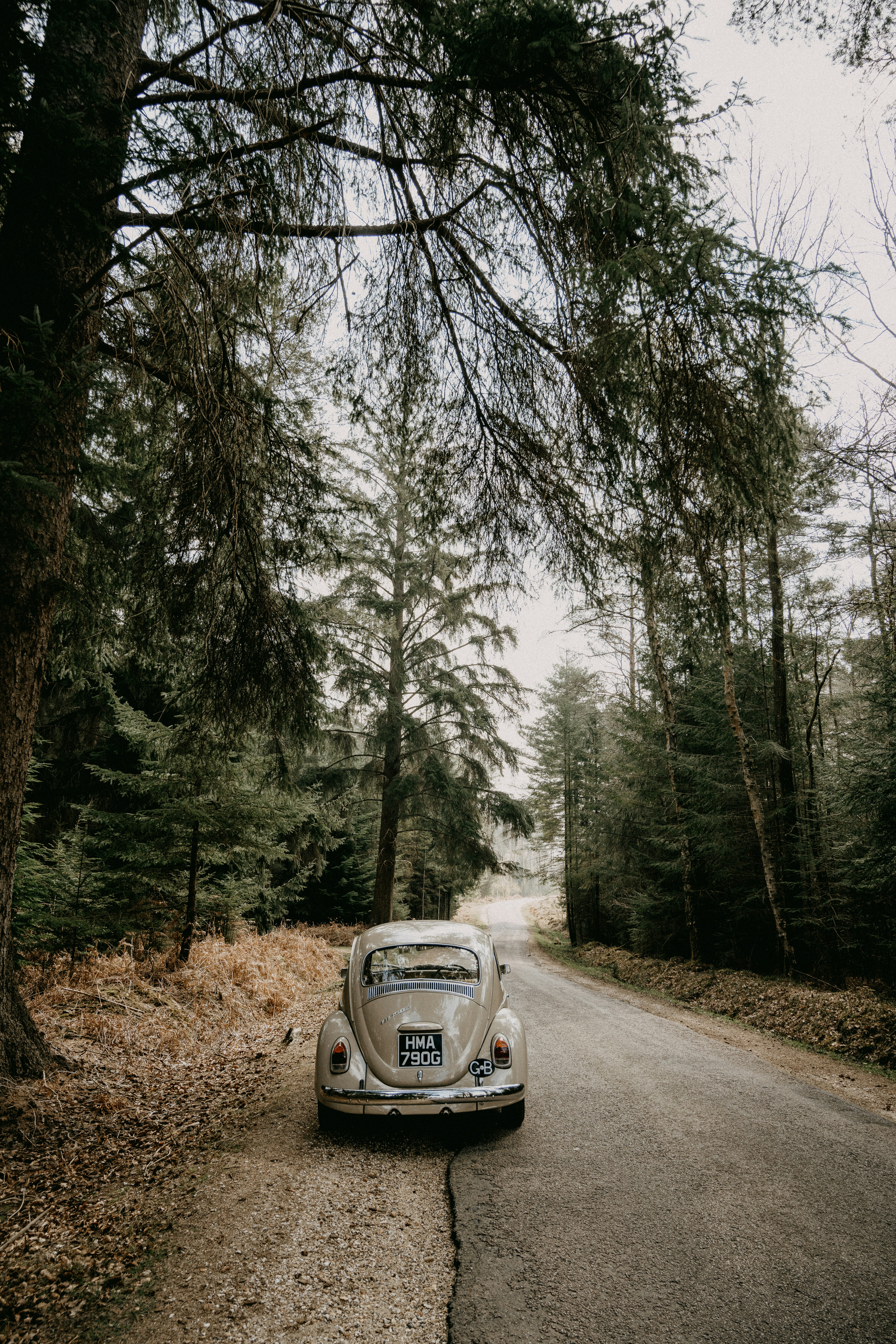 Photo by anniespratt