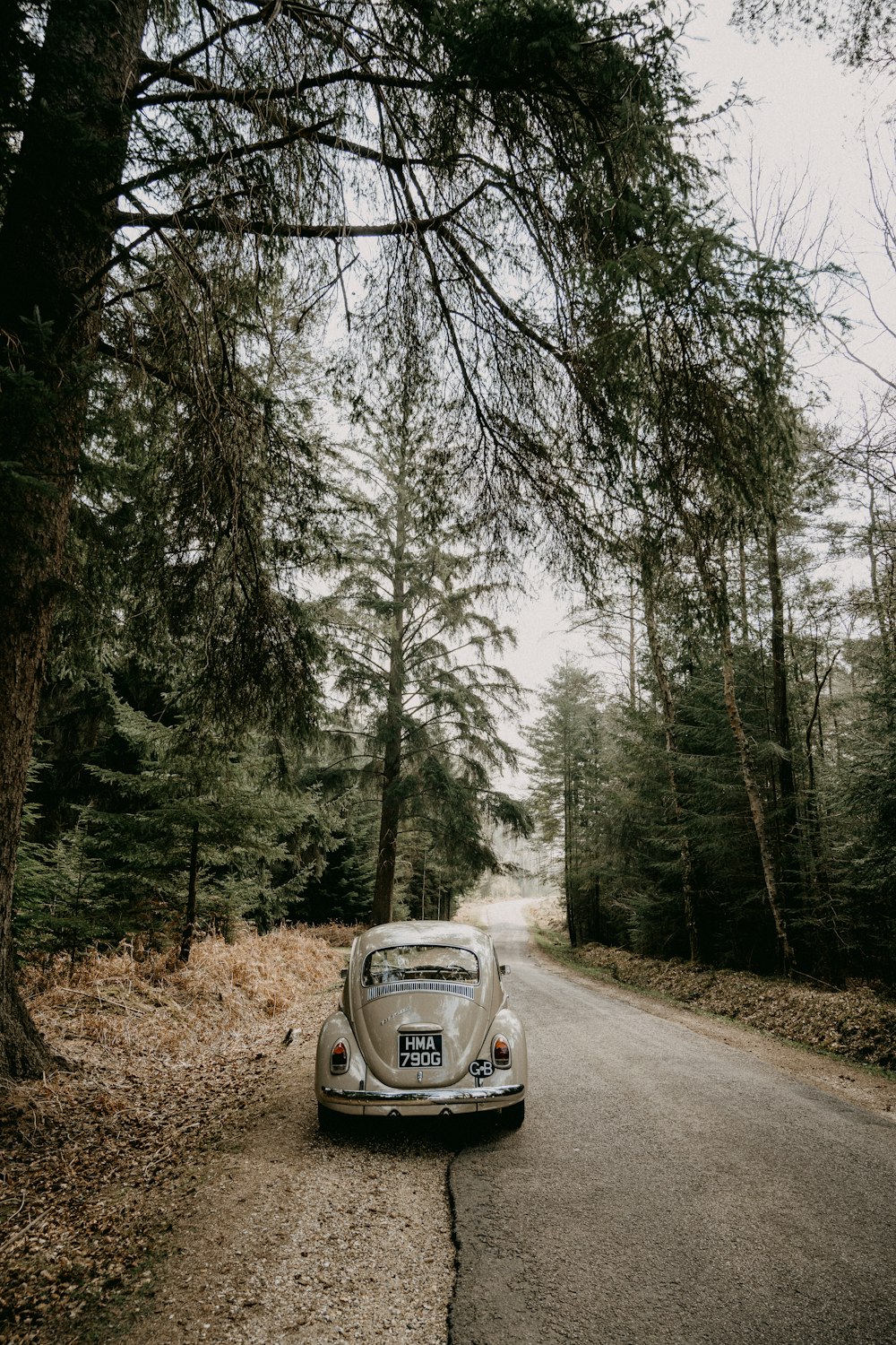 gray car on road between trees during daytime