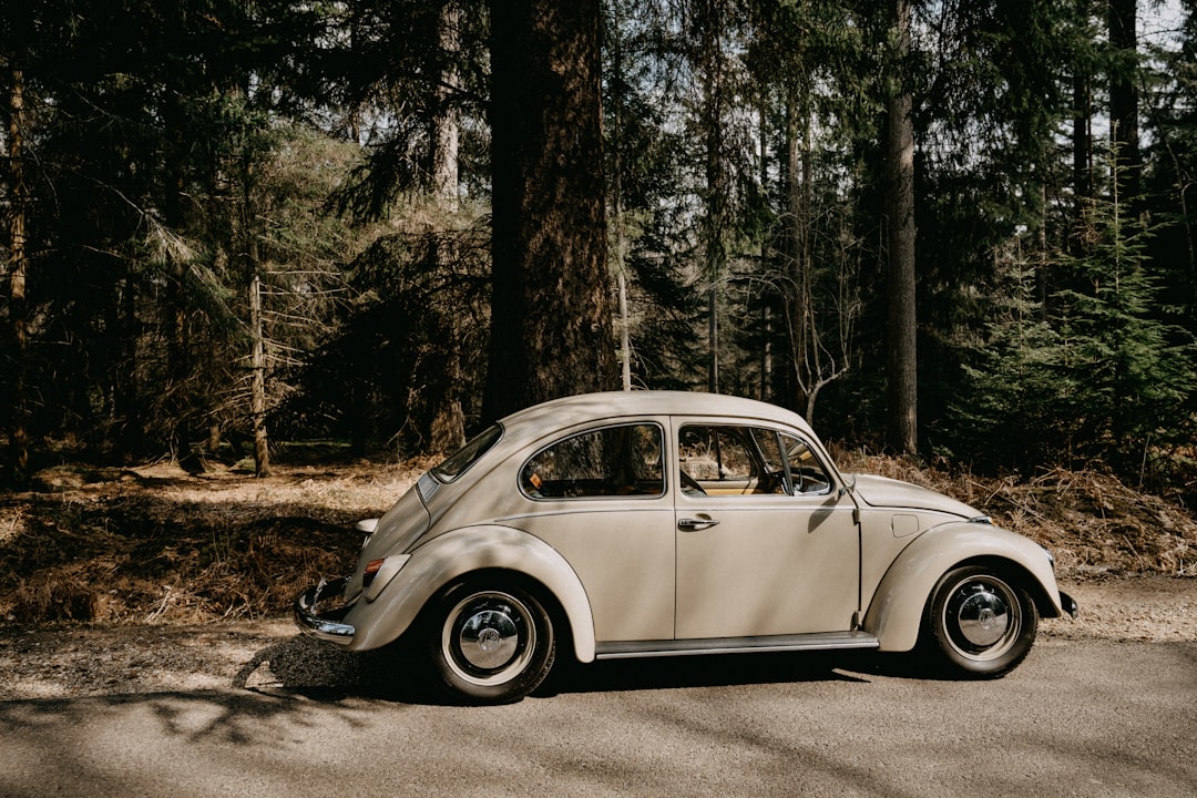 white volkswagen beetle parked on forest during daytime