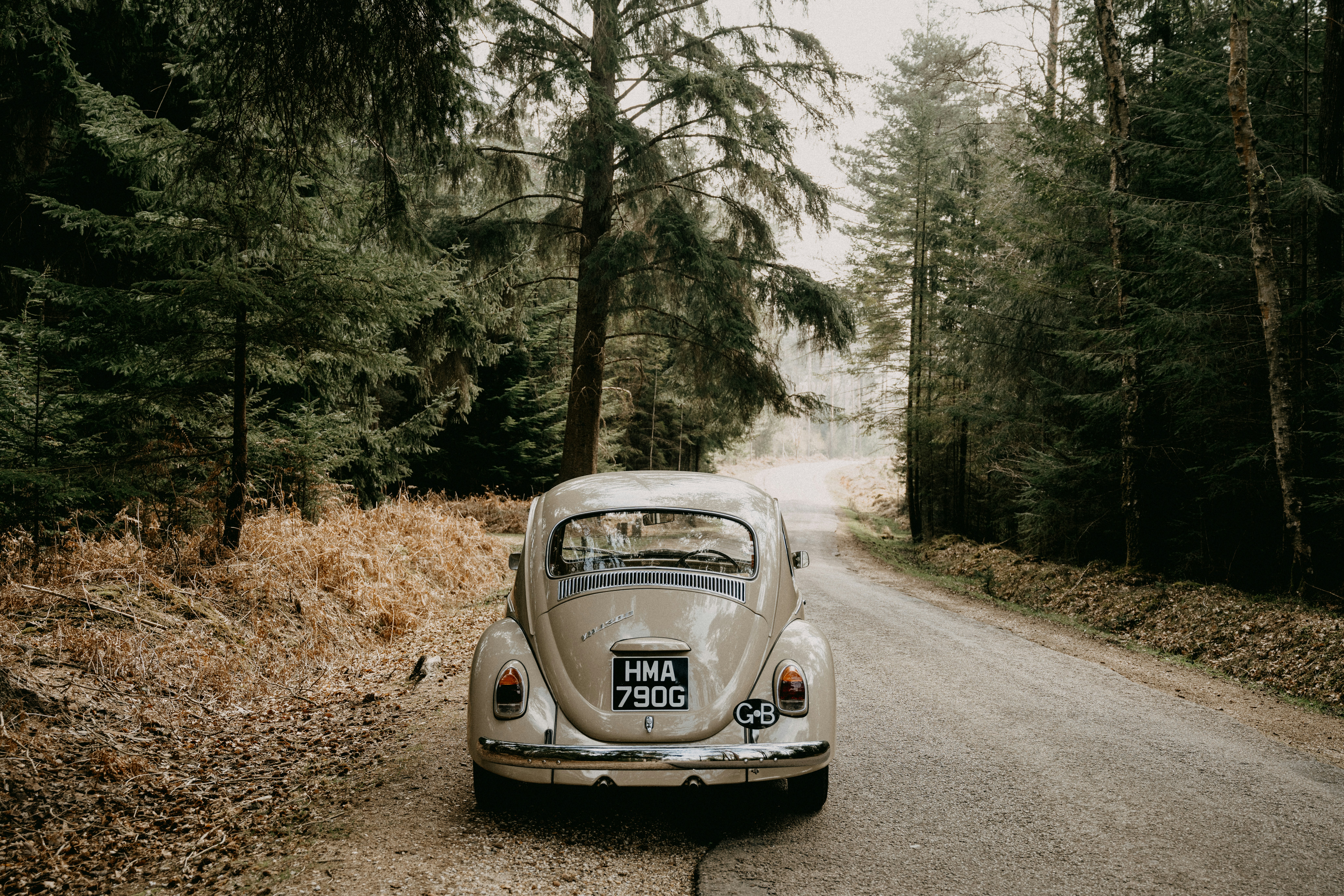 Photo by anniespratt