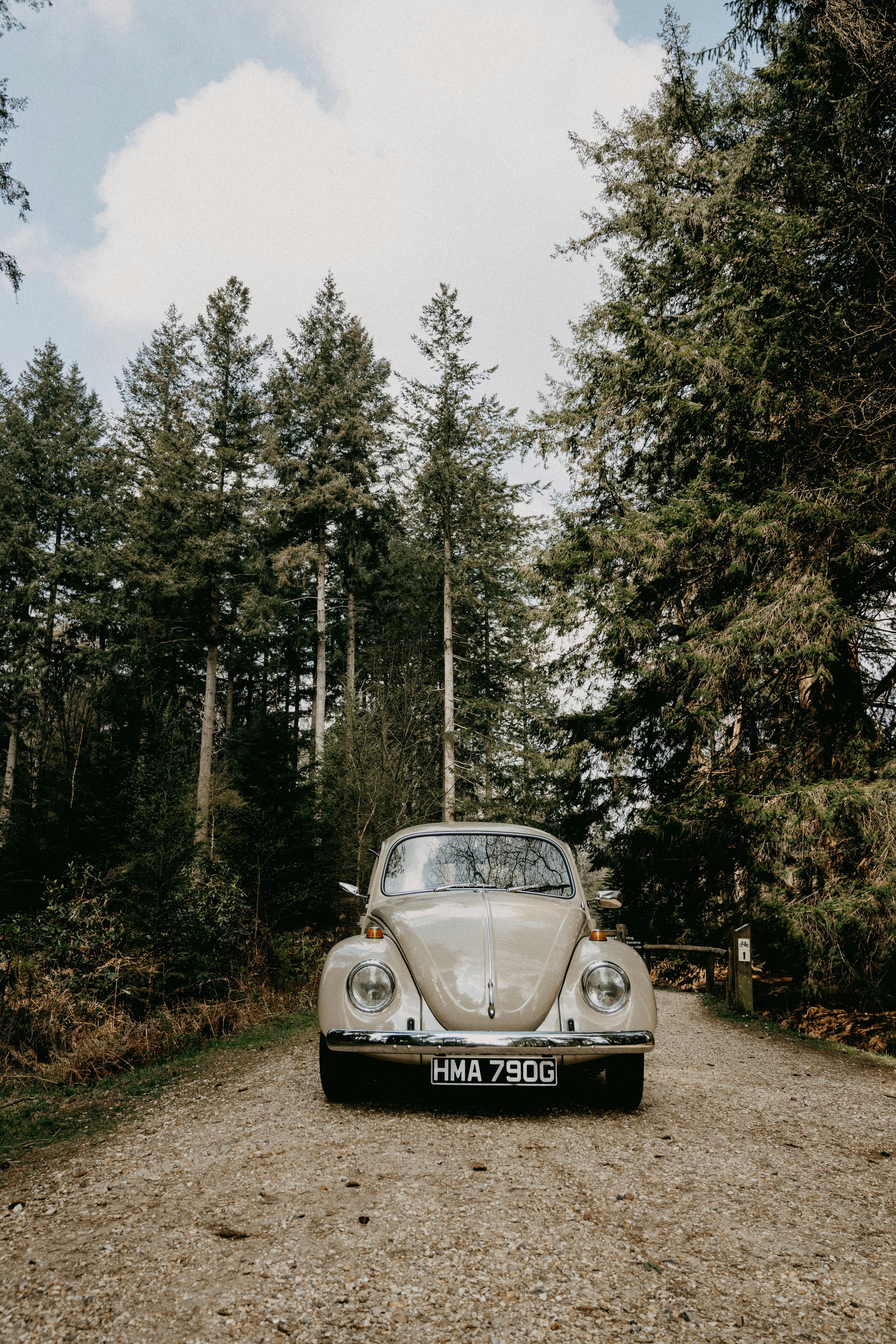 Photo by anniespratt