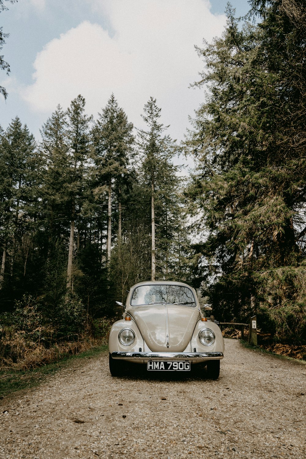 black car on dirt road between trees during daytime