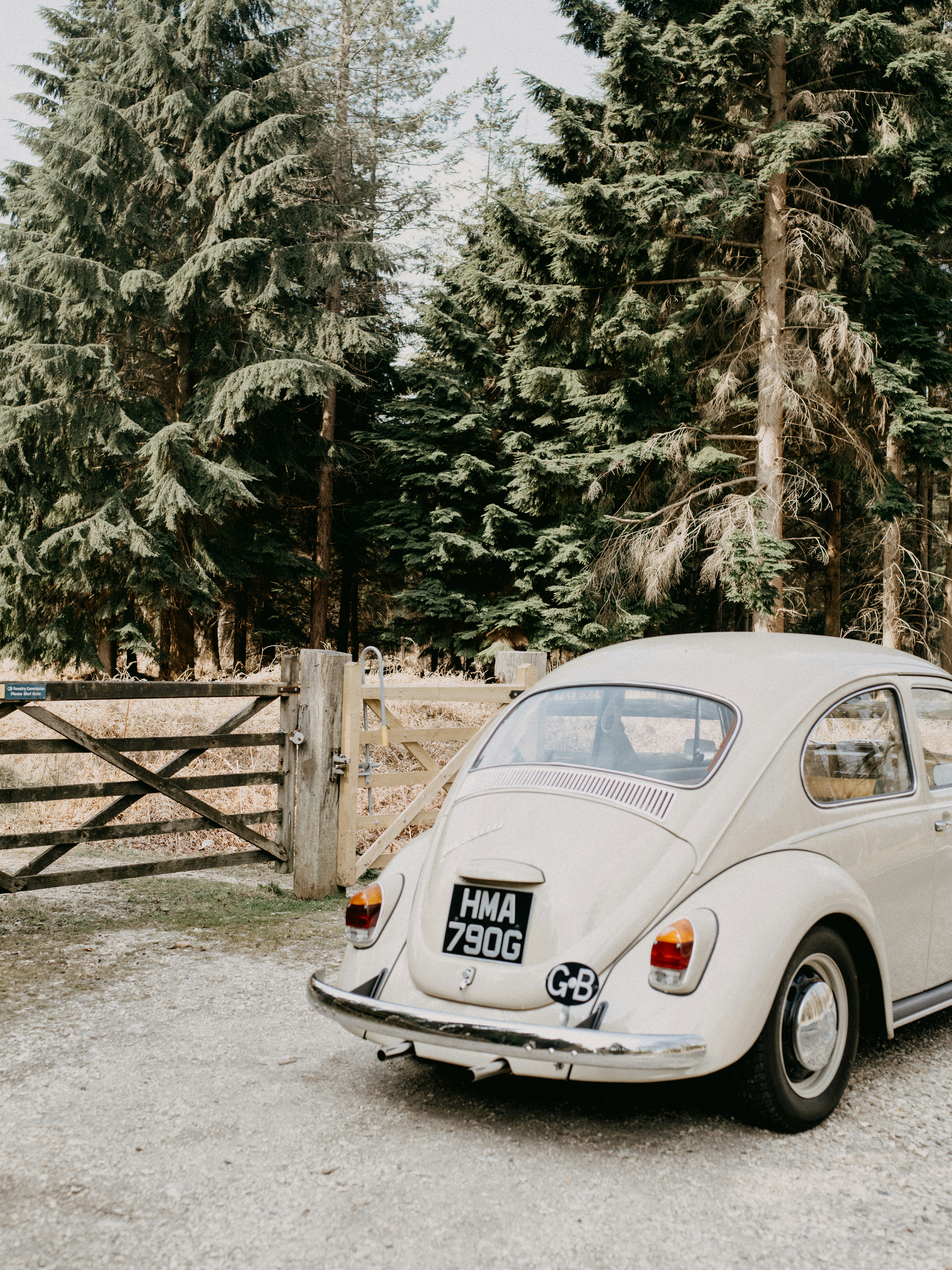 Photo by anniespratt