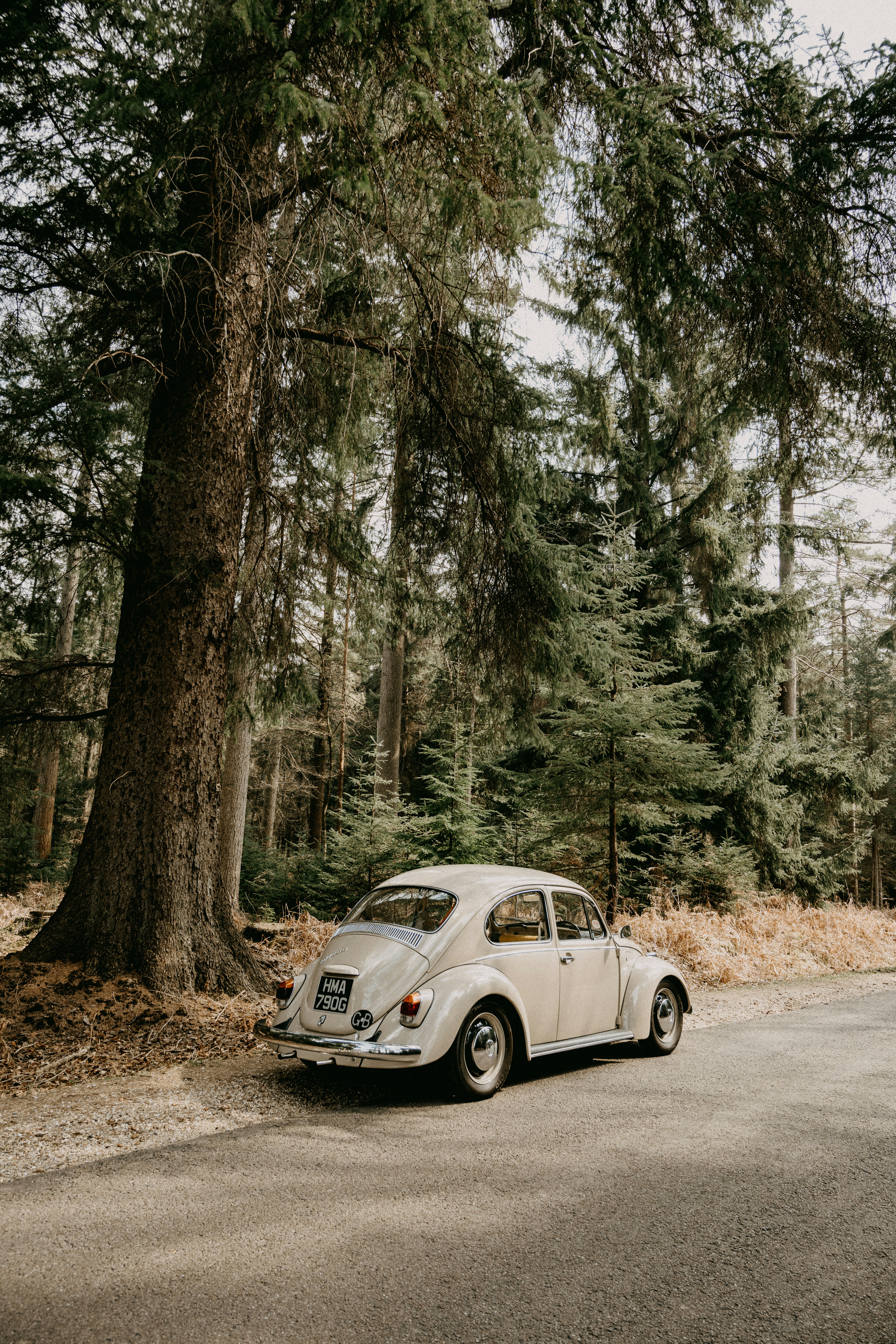 Photo by anniespratt