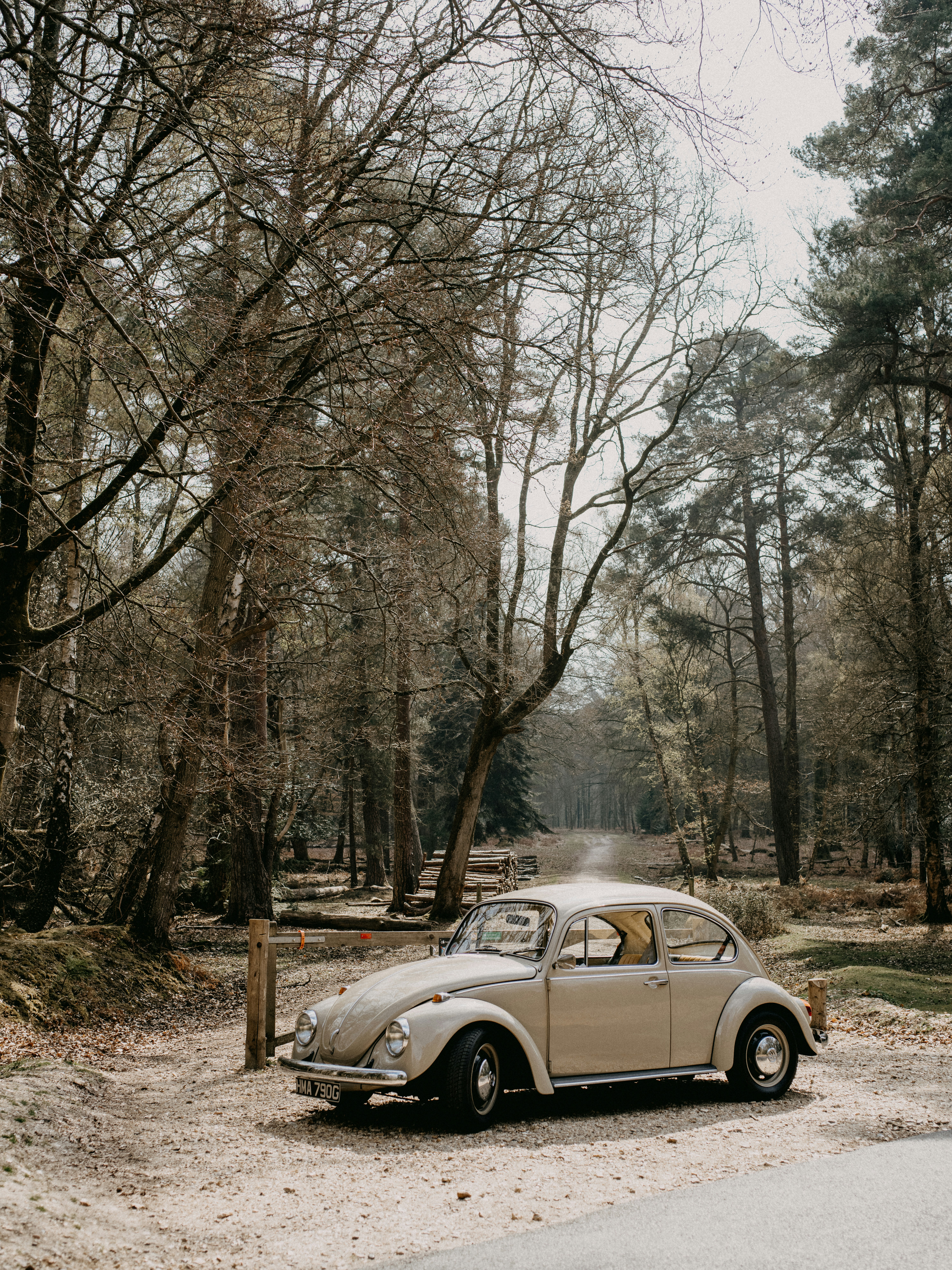 Photo by anniespratt