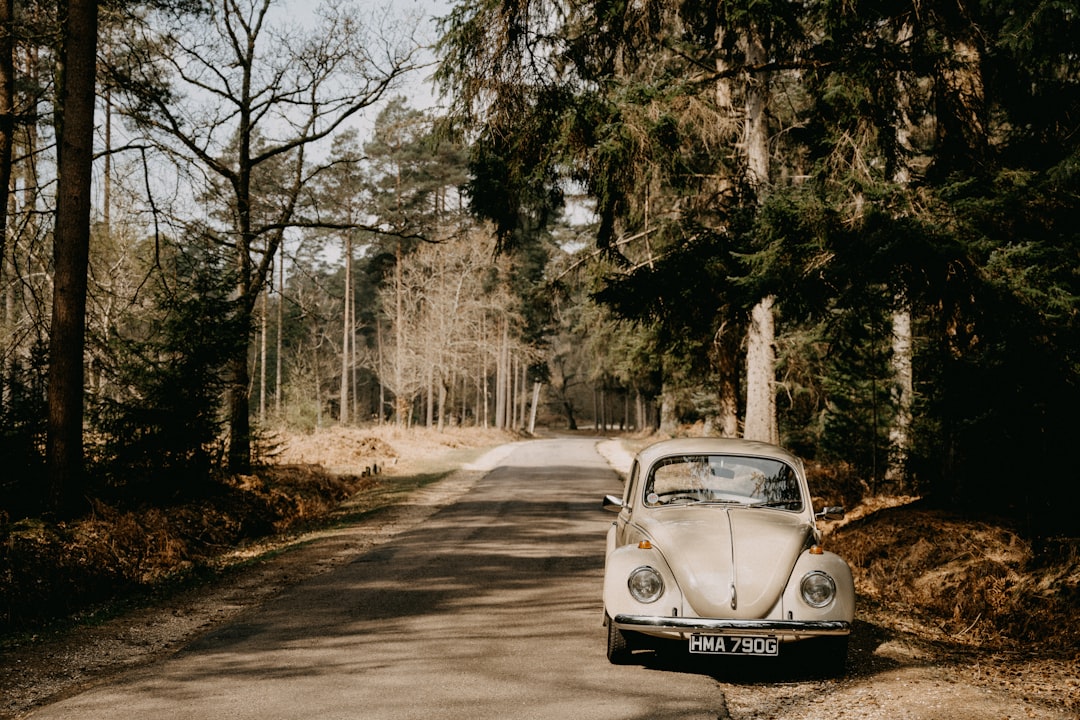white volkswagen beetle on road during daytime