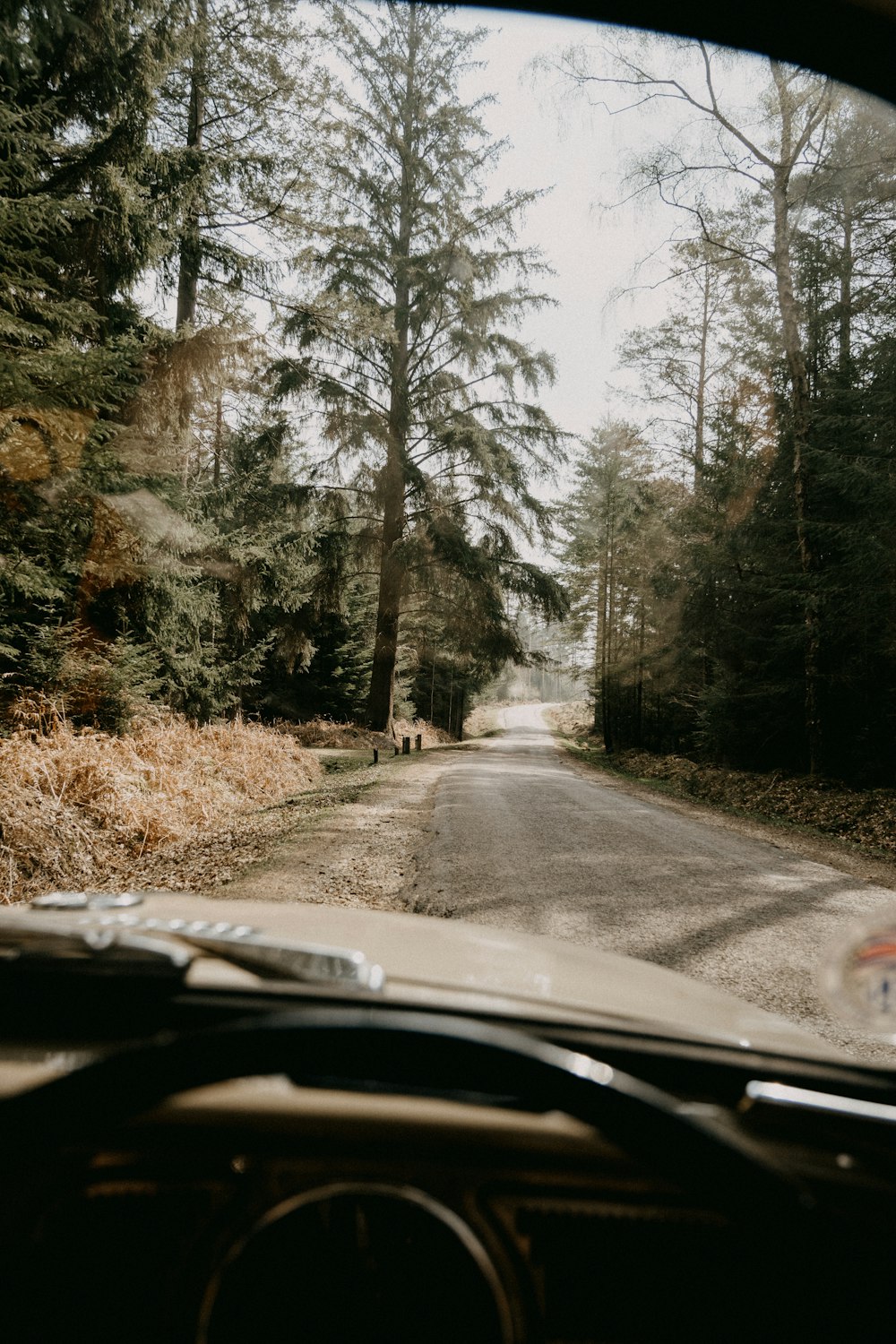 black car on road between trees during daytime