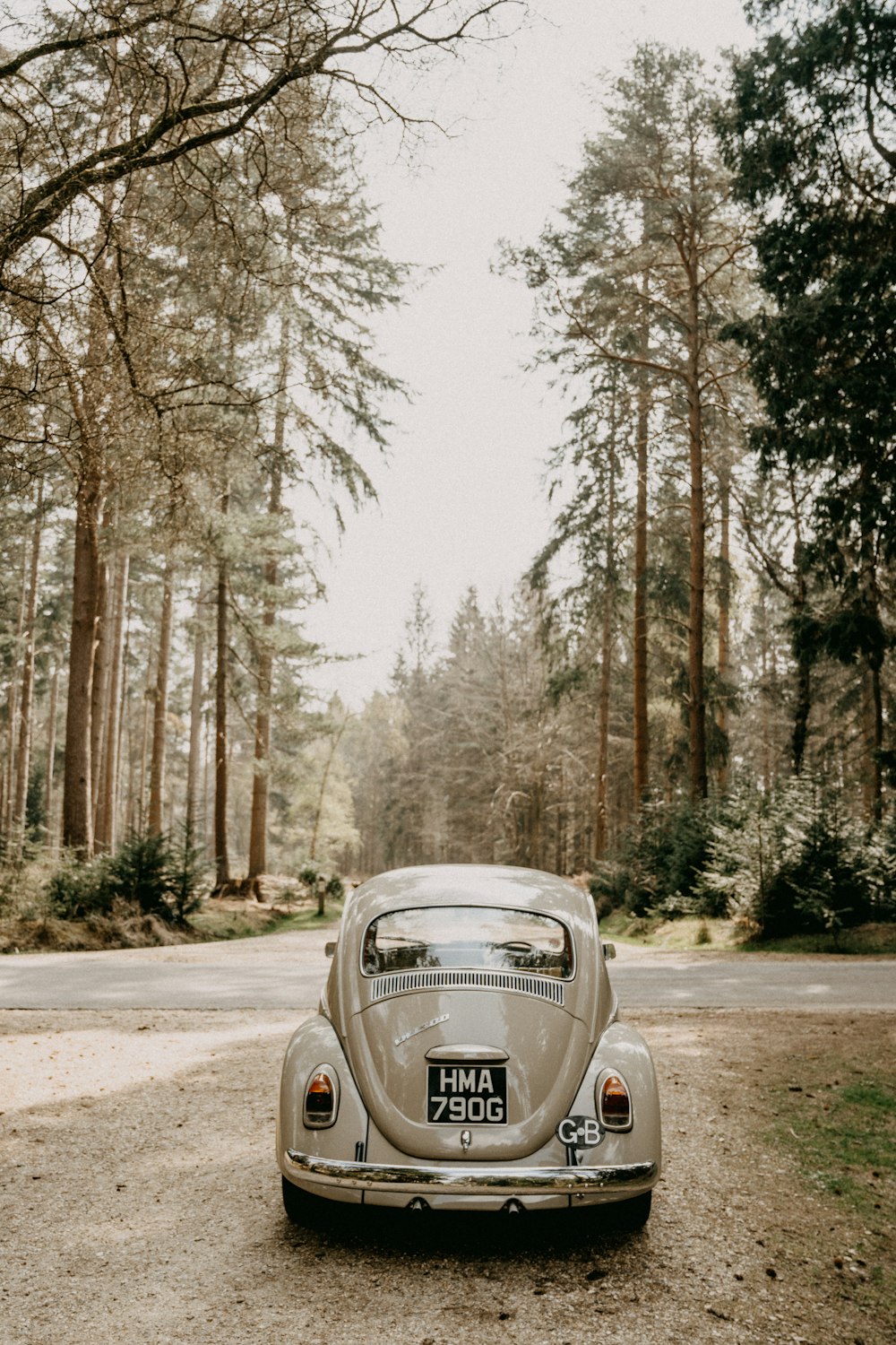 silver mercedes benz car on road surrounded by trees during daytime