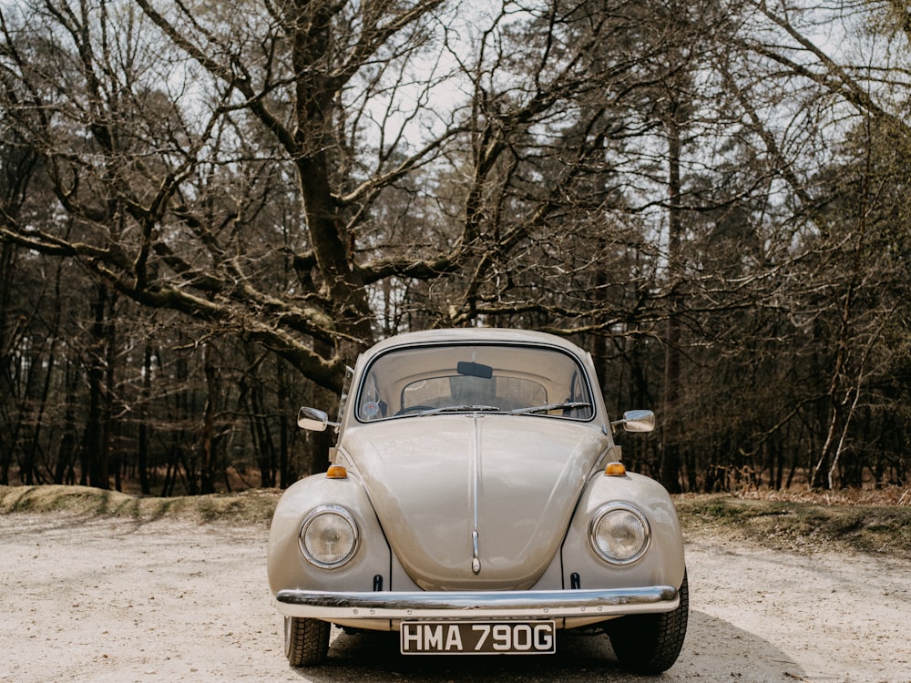 Volkswagen Beetle beige estacionado en un camino de tierra cerca de árboles desnudos durante el día