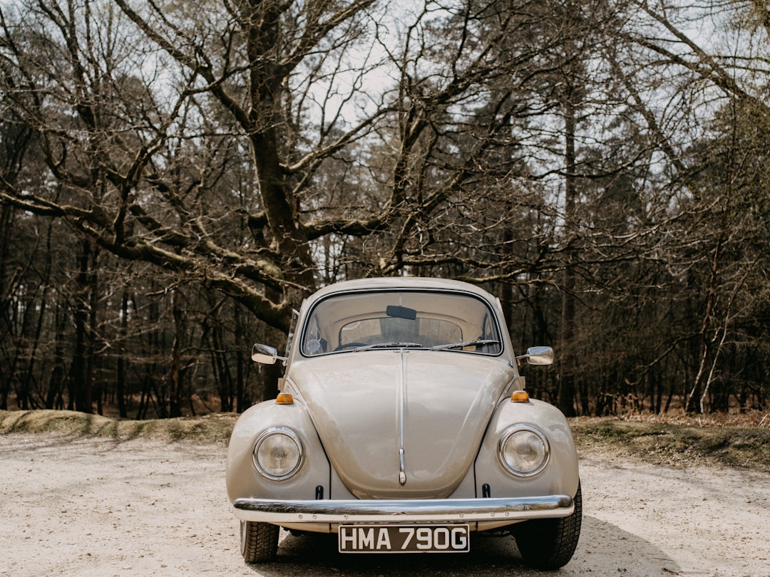 beige volkswagen beetle parked on dirt road near bare trees during daytime
