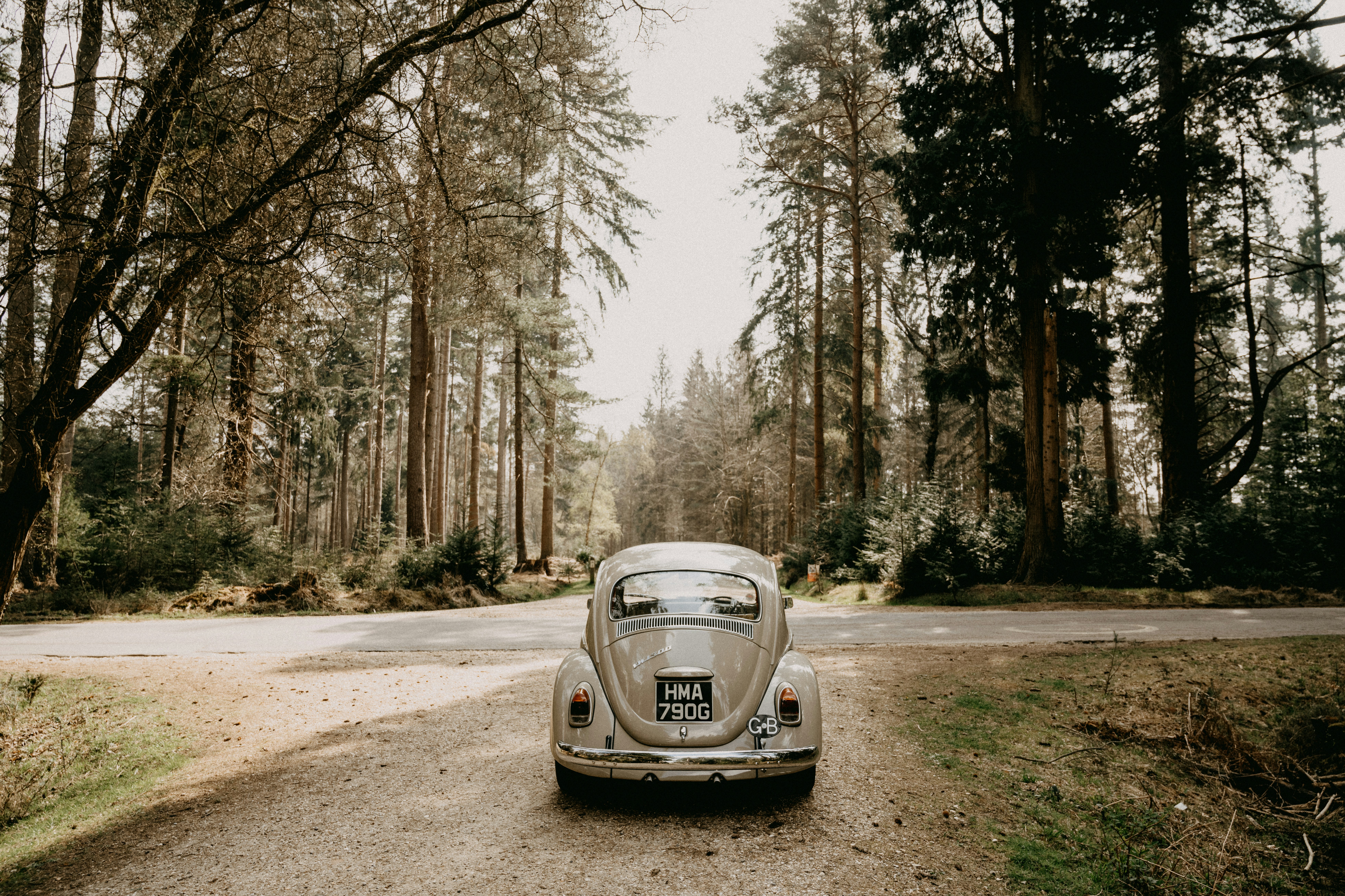 Photo by anniespratt