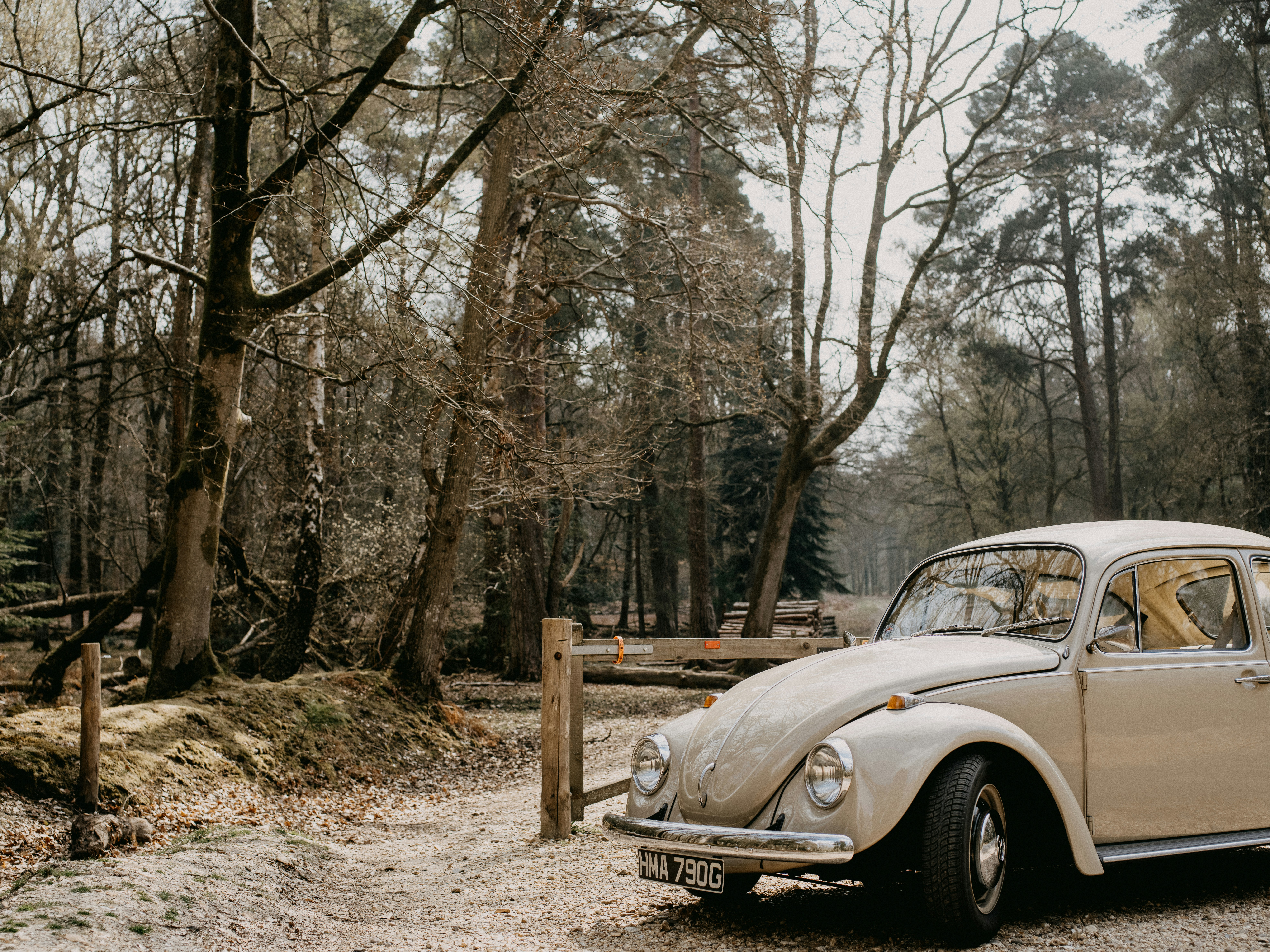 Photo by anniespratt