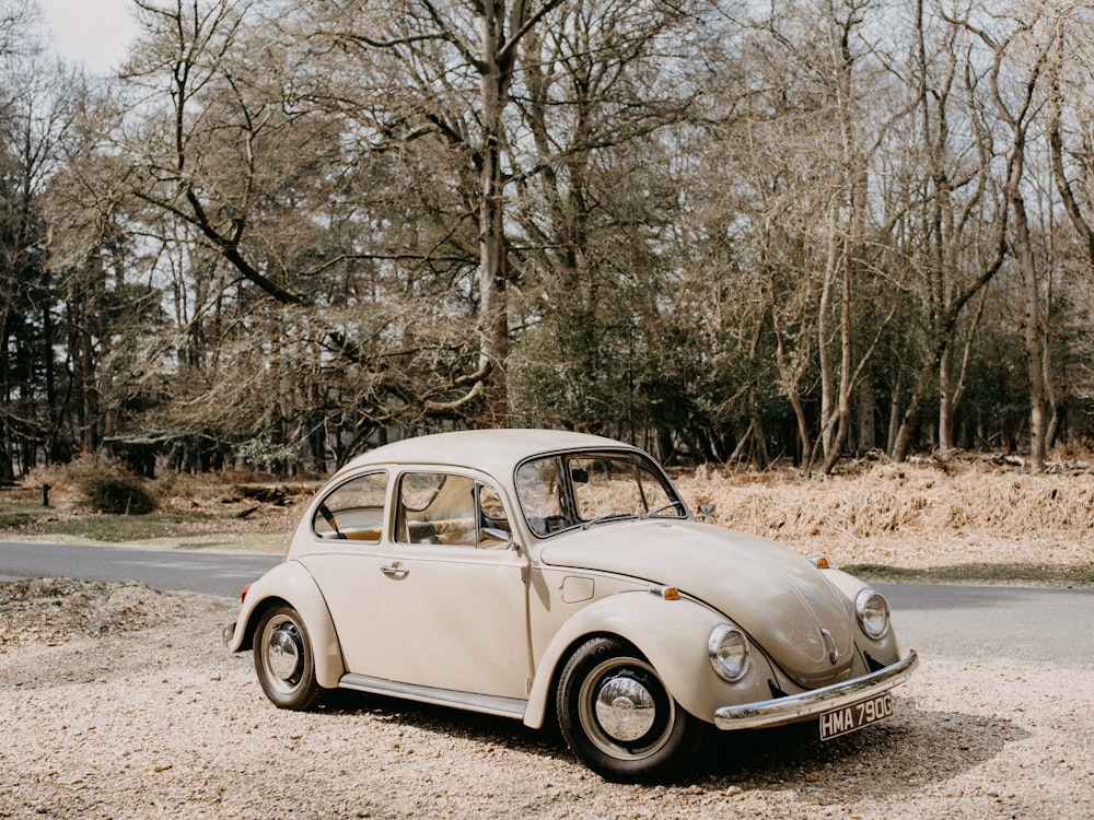 white volkswagen beetle parked on dirt road near trees during daytime